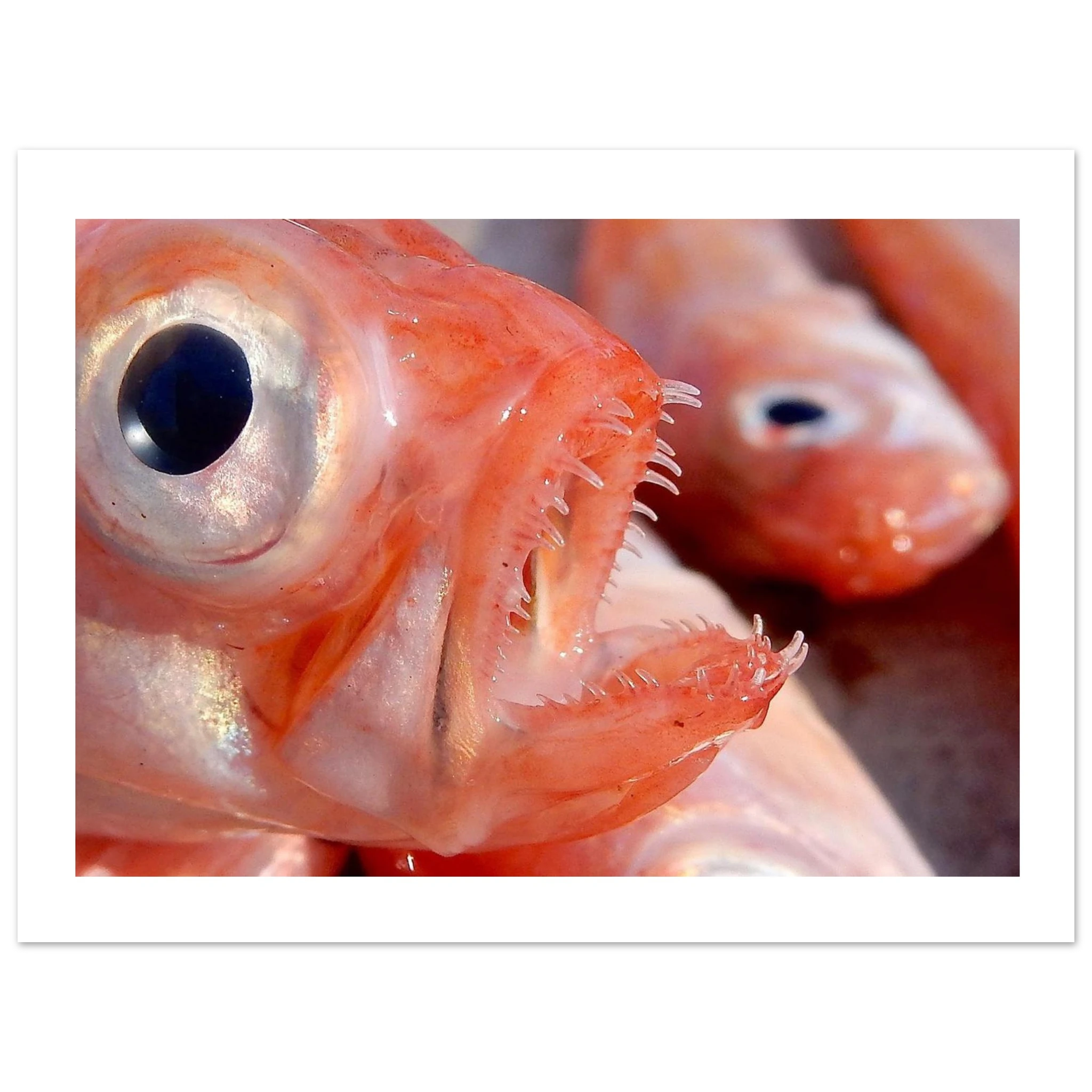 83674d95-2989-4a05-a455-ee9e81c5e3df