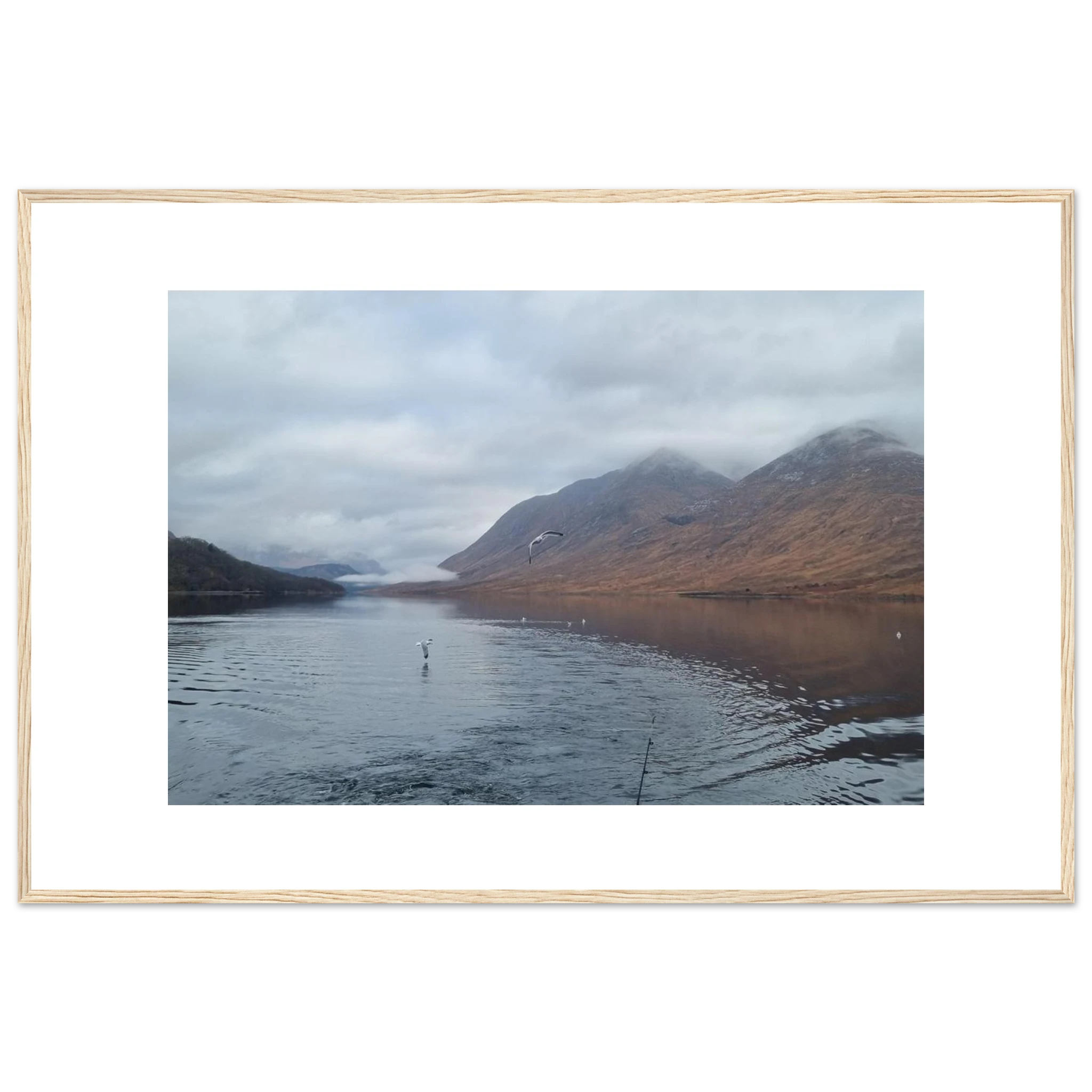 8420ac59-d59d-49d3-b7e9-2d2ebe350b2a