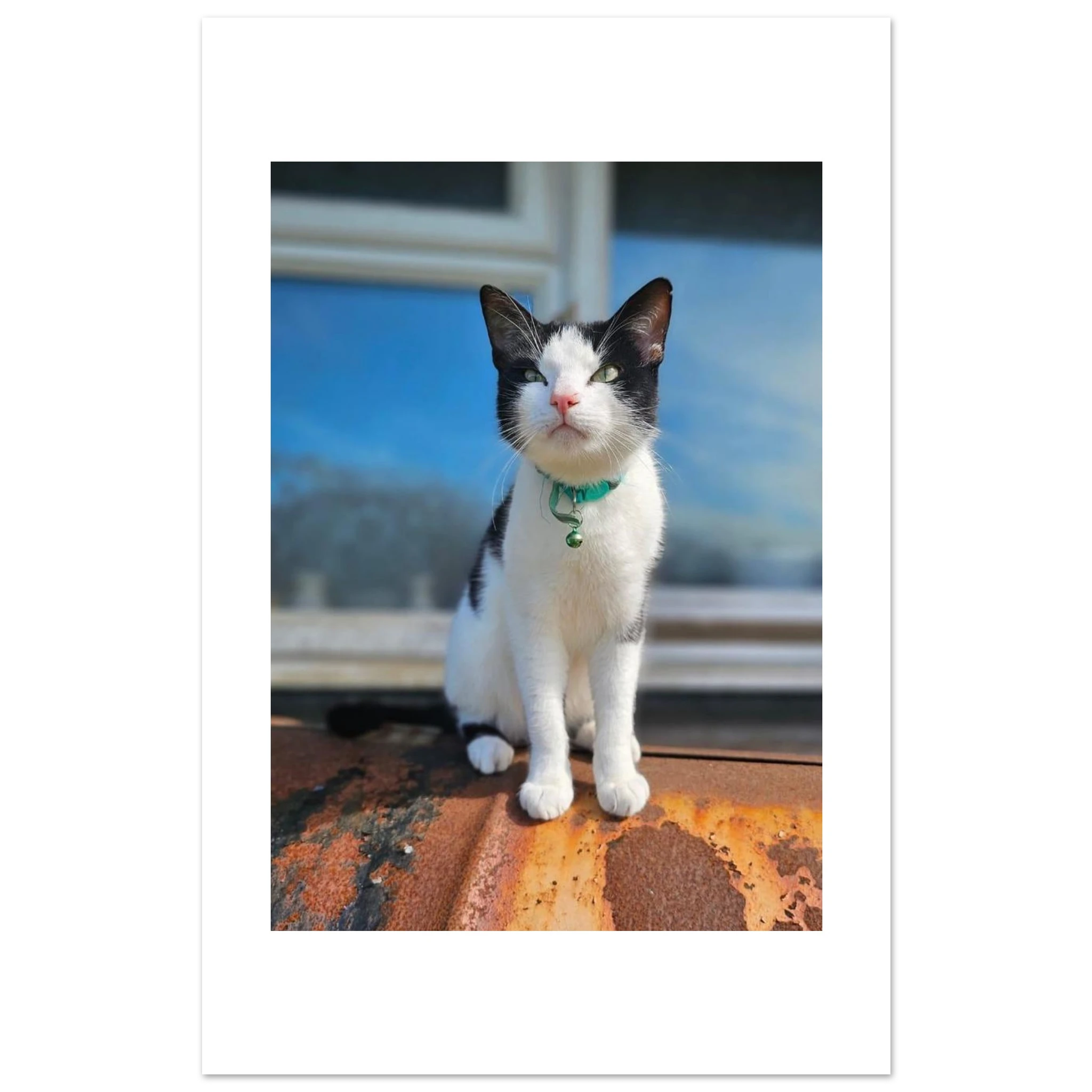 84ec1d18-a991-42b7-aaaa-02d3ea863a05