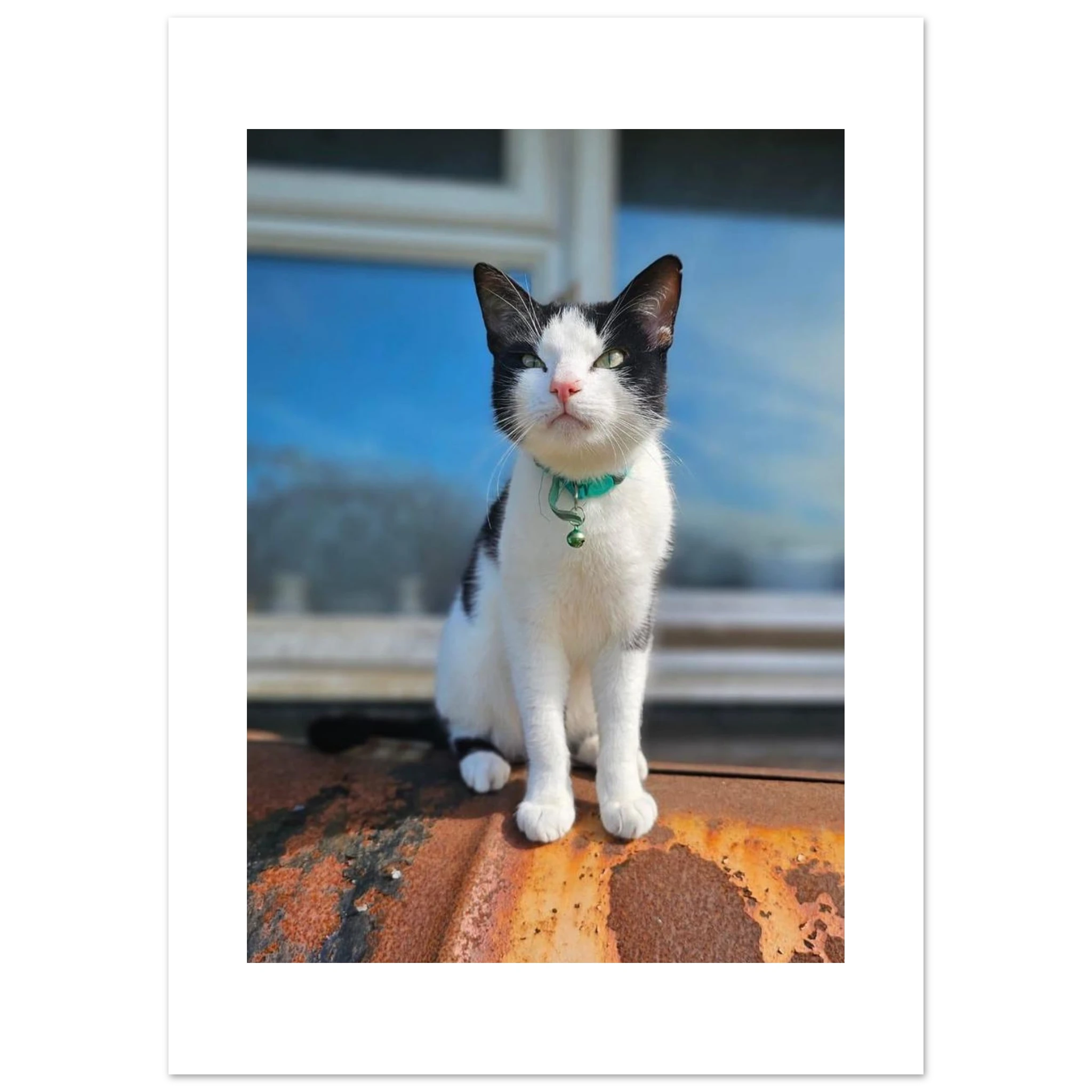 850a7d06-92b4-43f5-84e0-b63ac6f20323