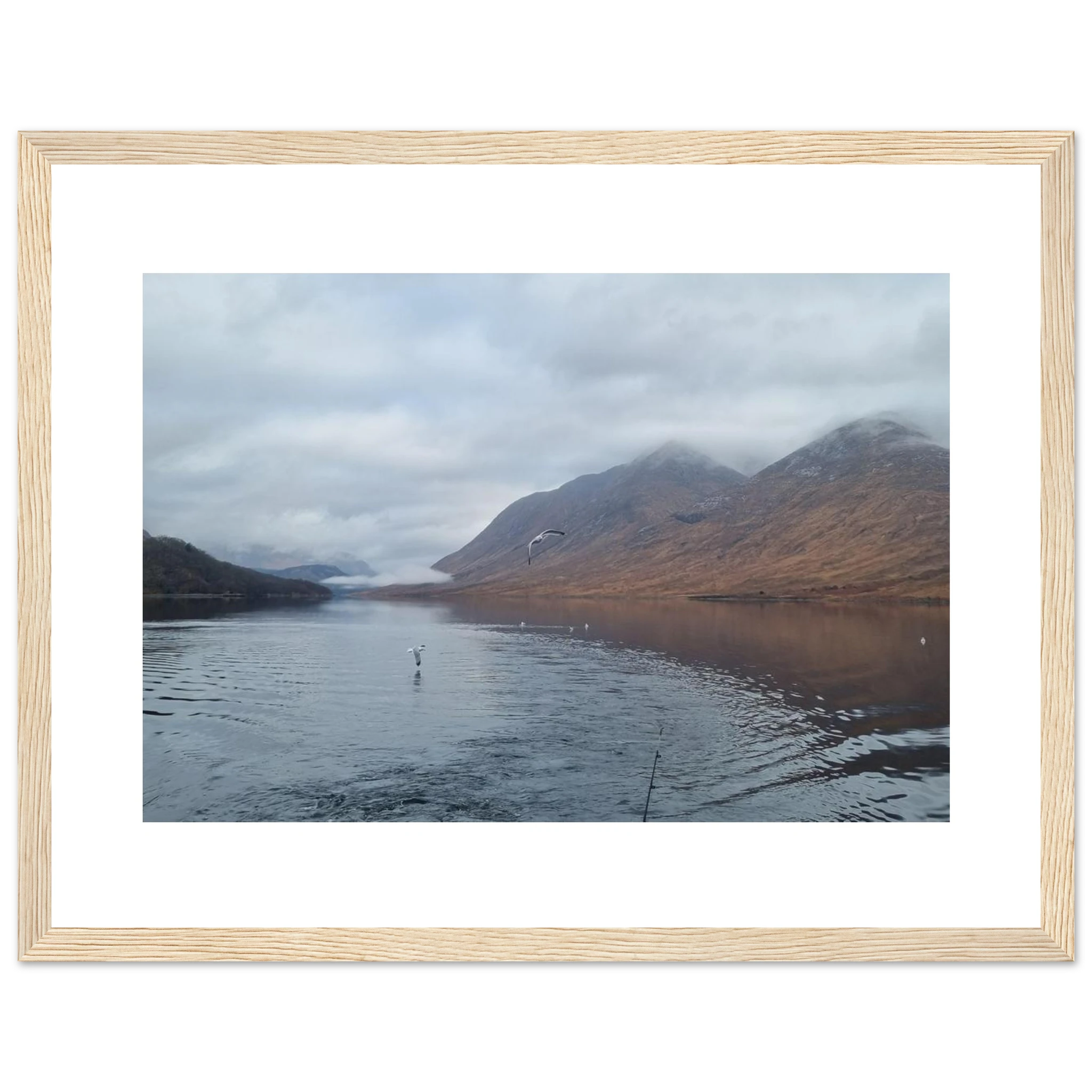 884633b4-6b92-416f-b701-f64648045930