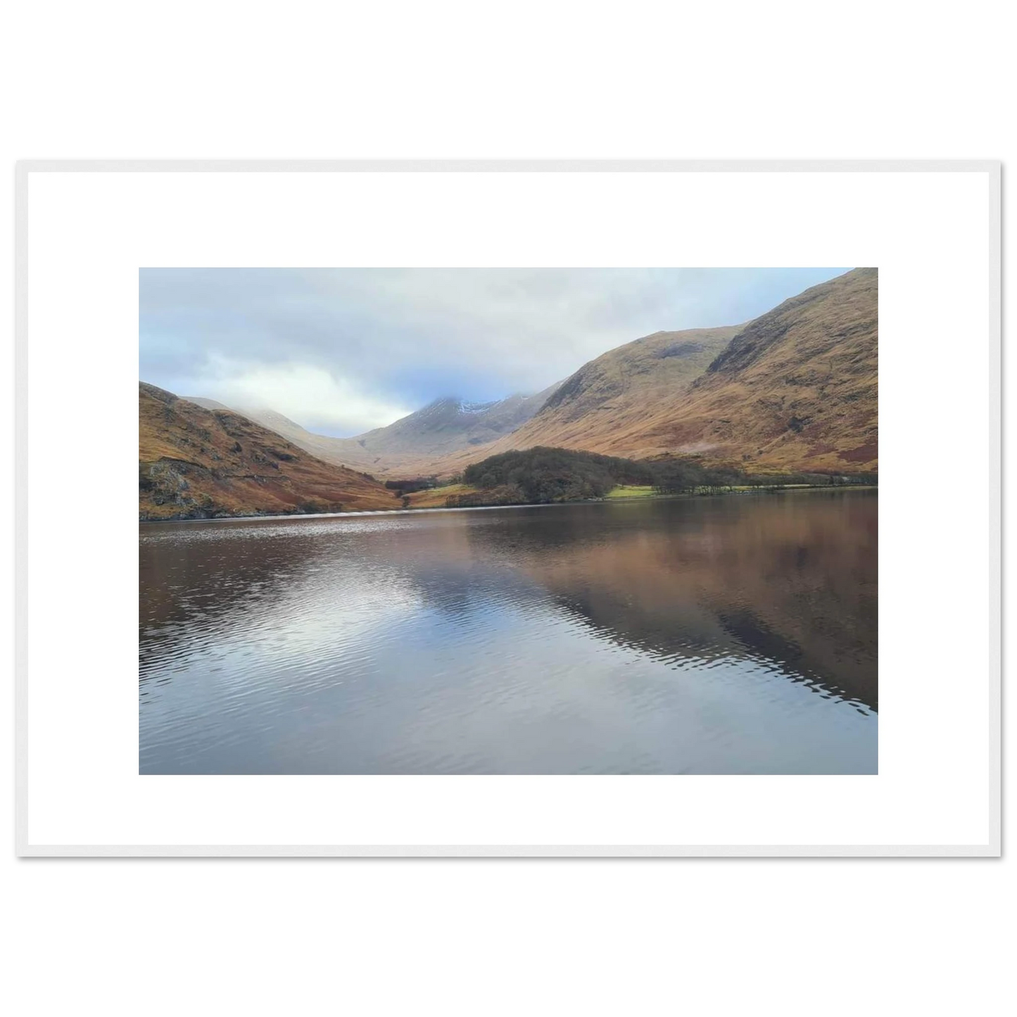 89b8bd0b-4651-45a5-9e0c-7a0a2b16ddaa