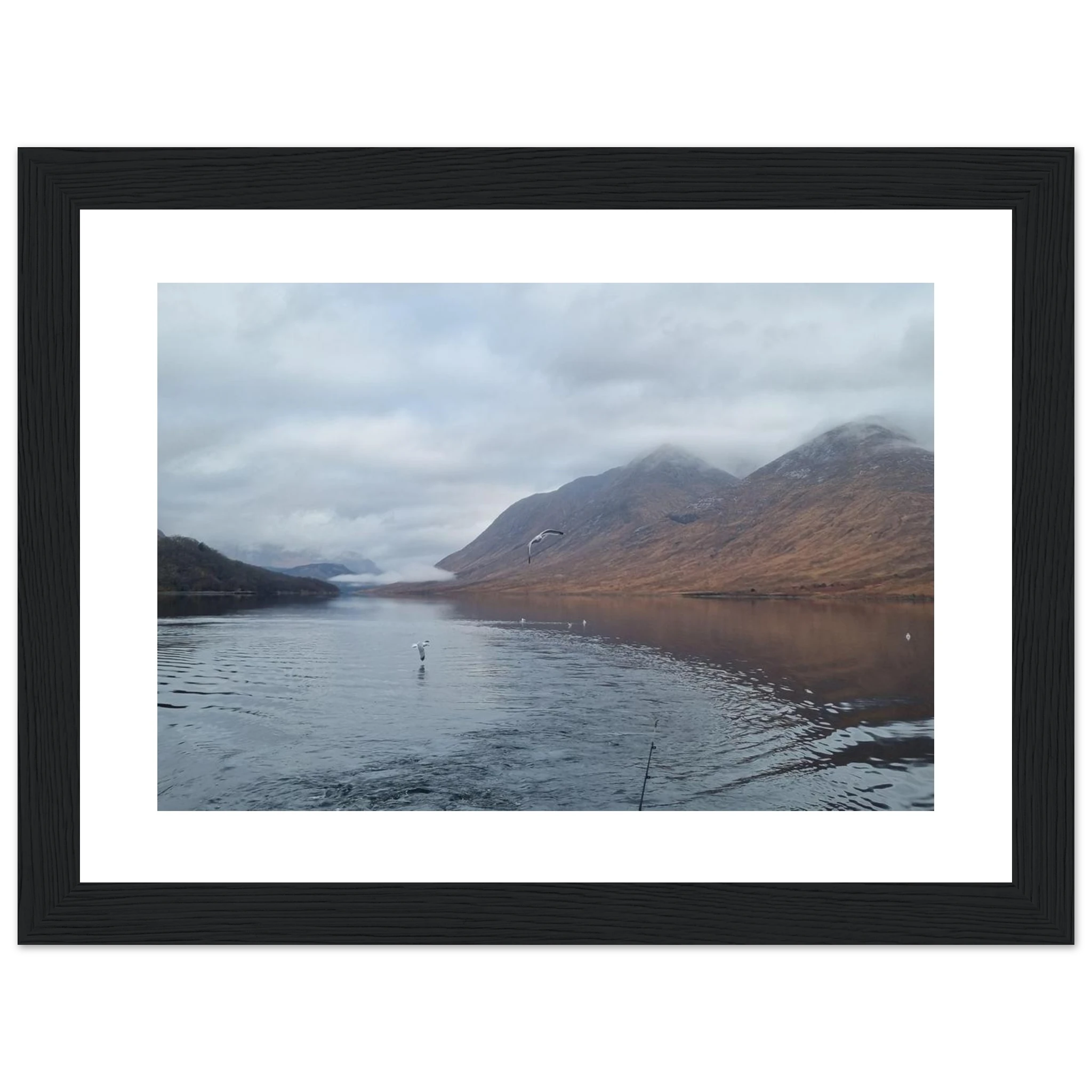 8a8bac3e-c5d3-43d2-84c5-222090b74bfb