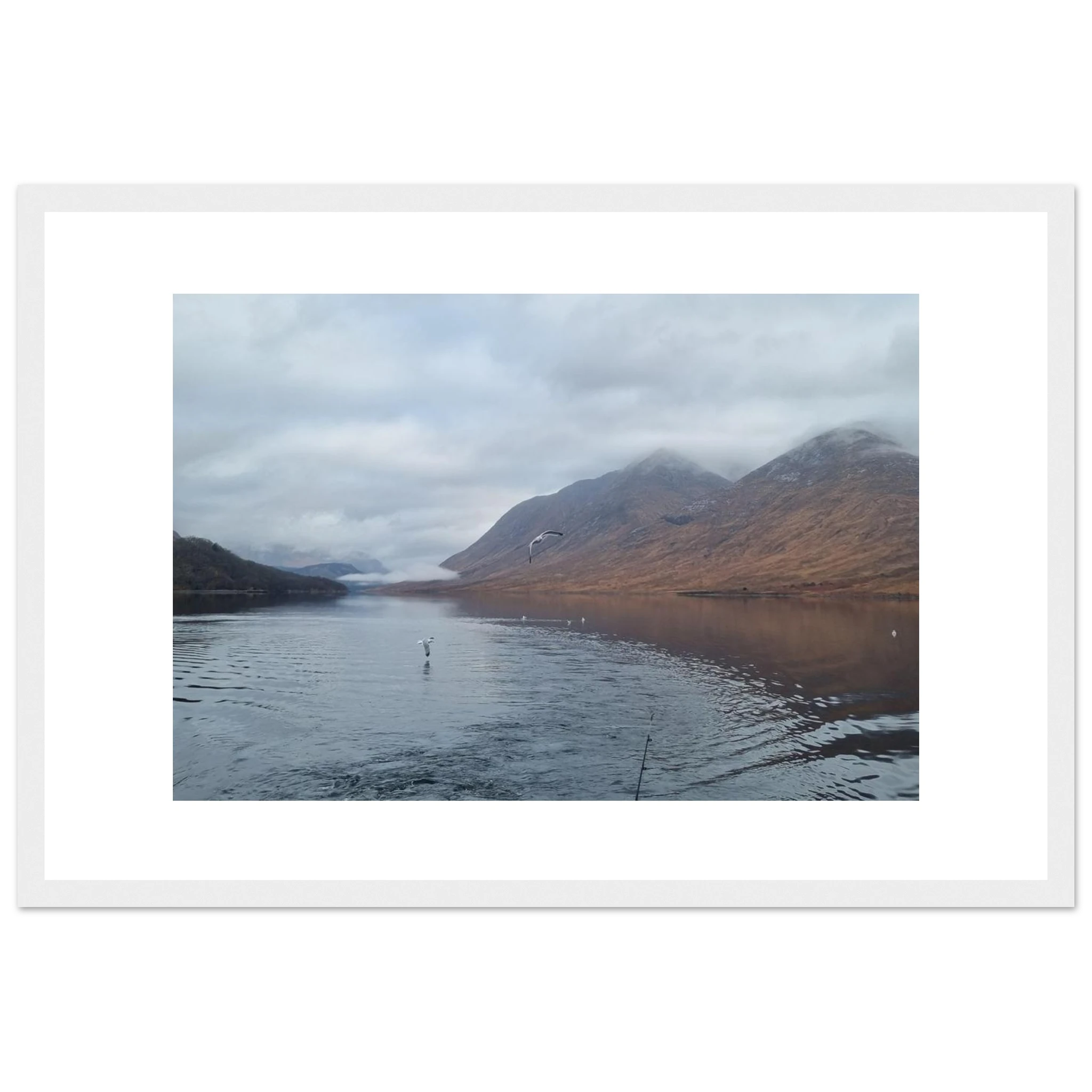 8b00c11d-4b04-4c3d-9c47-c3996ada5b35