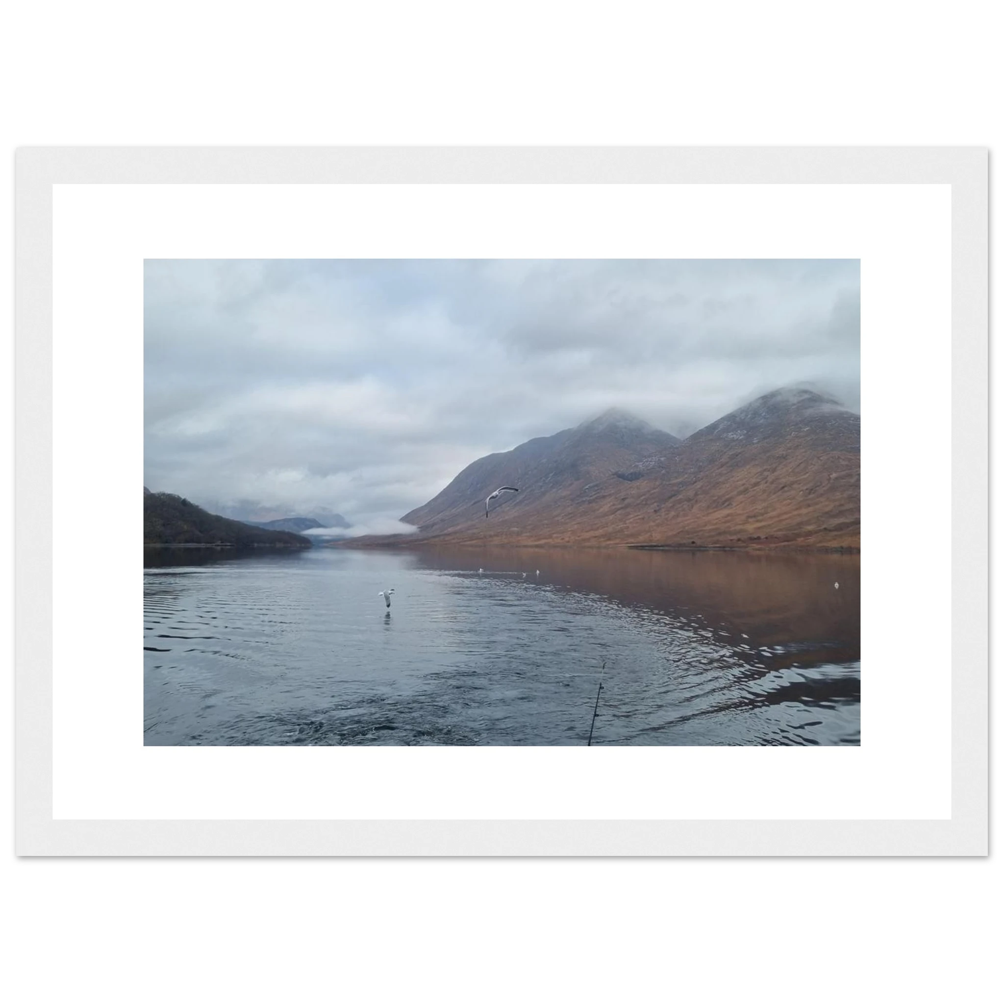 8fa8a45c-d689-4d2f-9400-56b7caa767ee