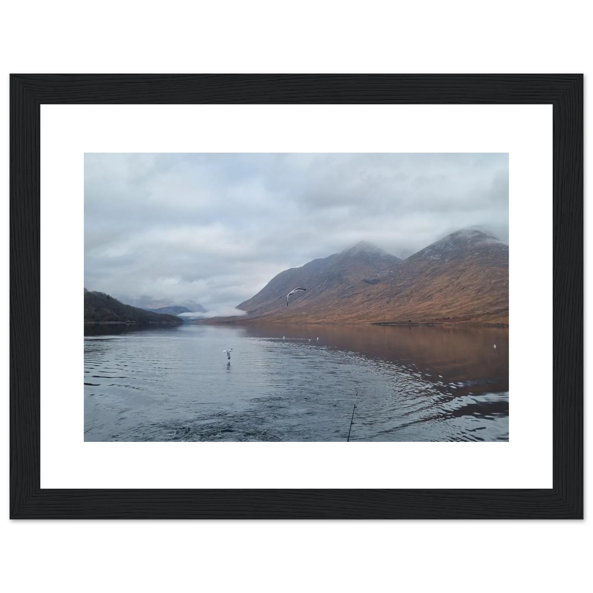 908d8c58-0a6a-495a-9a3d-fd1f551b5a41