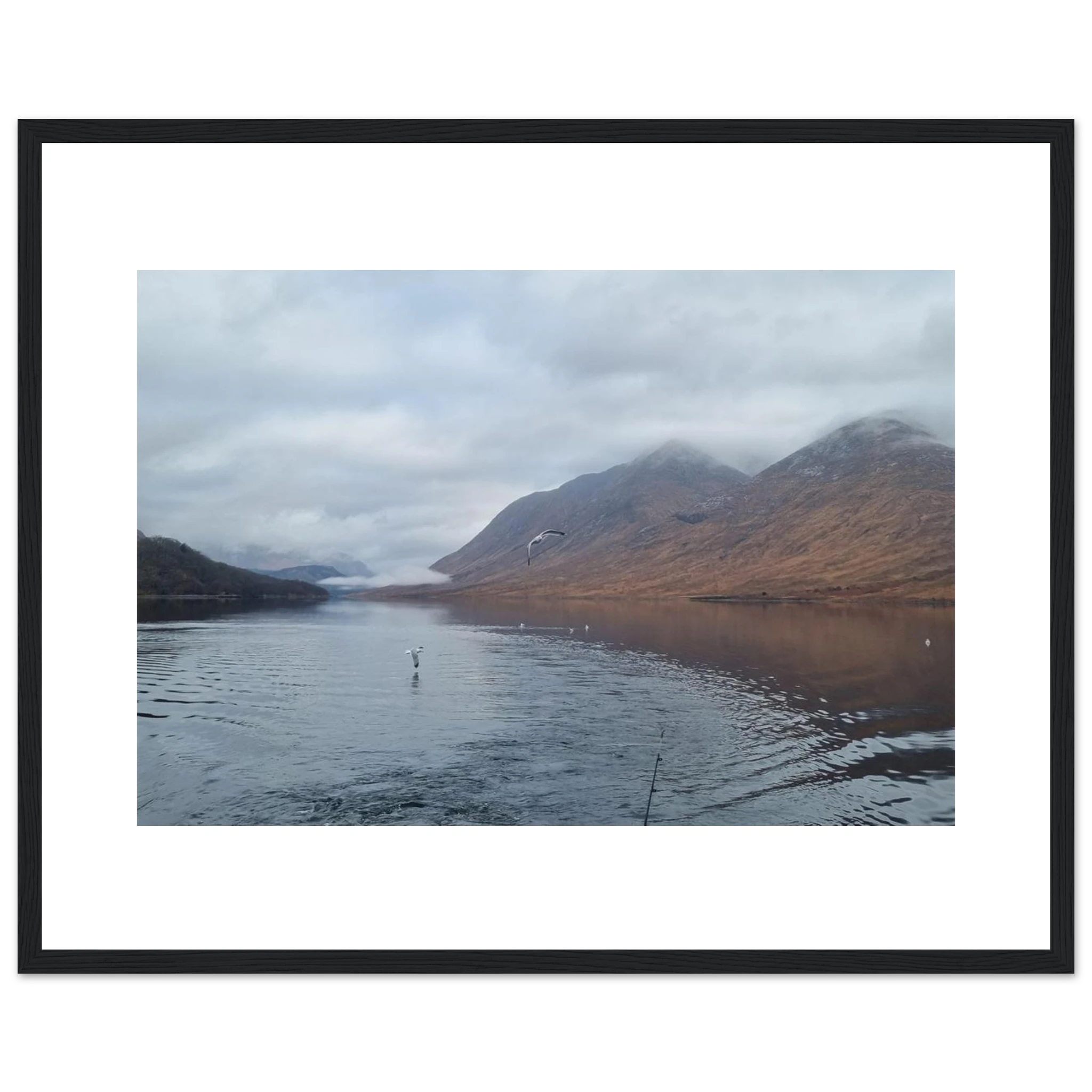 93466be5-58a8-442f-b286-48cc10166d08