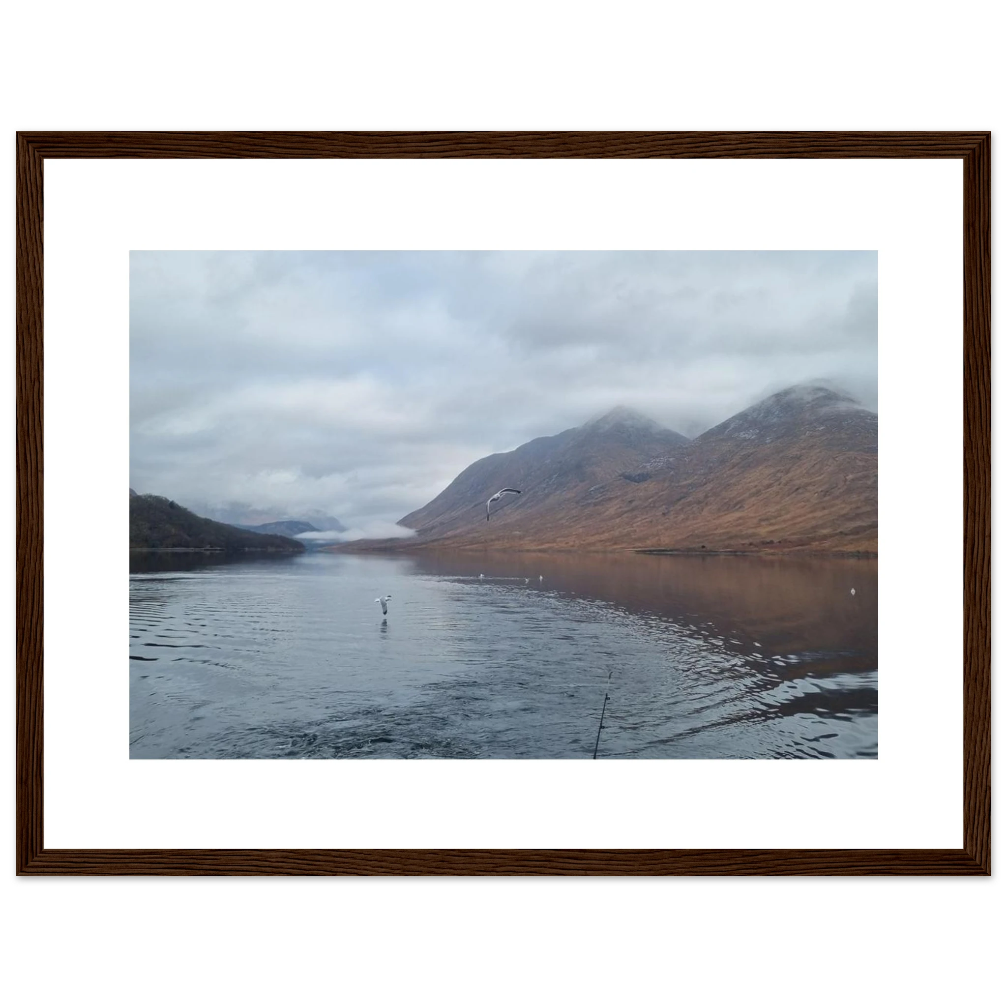 9483fed8-ab91-4020-9b72-413260852e93