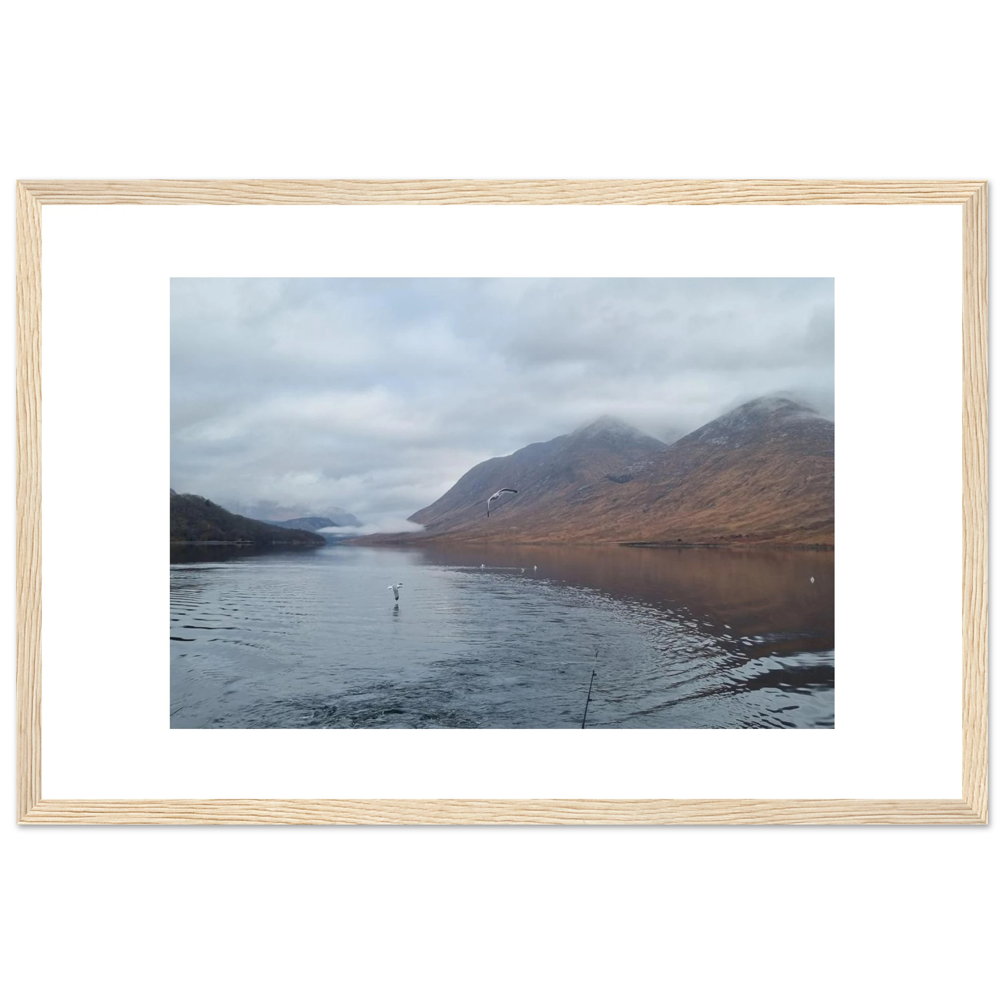 950db3b6-58b1-4609-860e-2467ca49bbc5