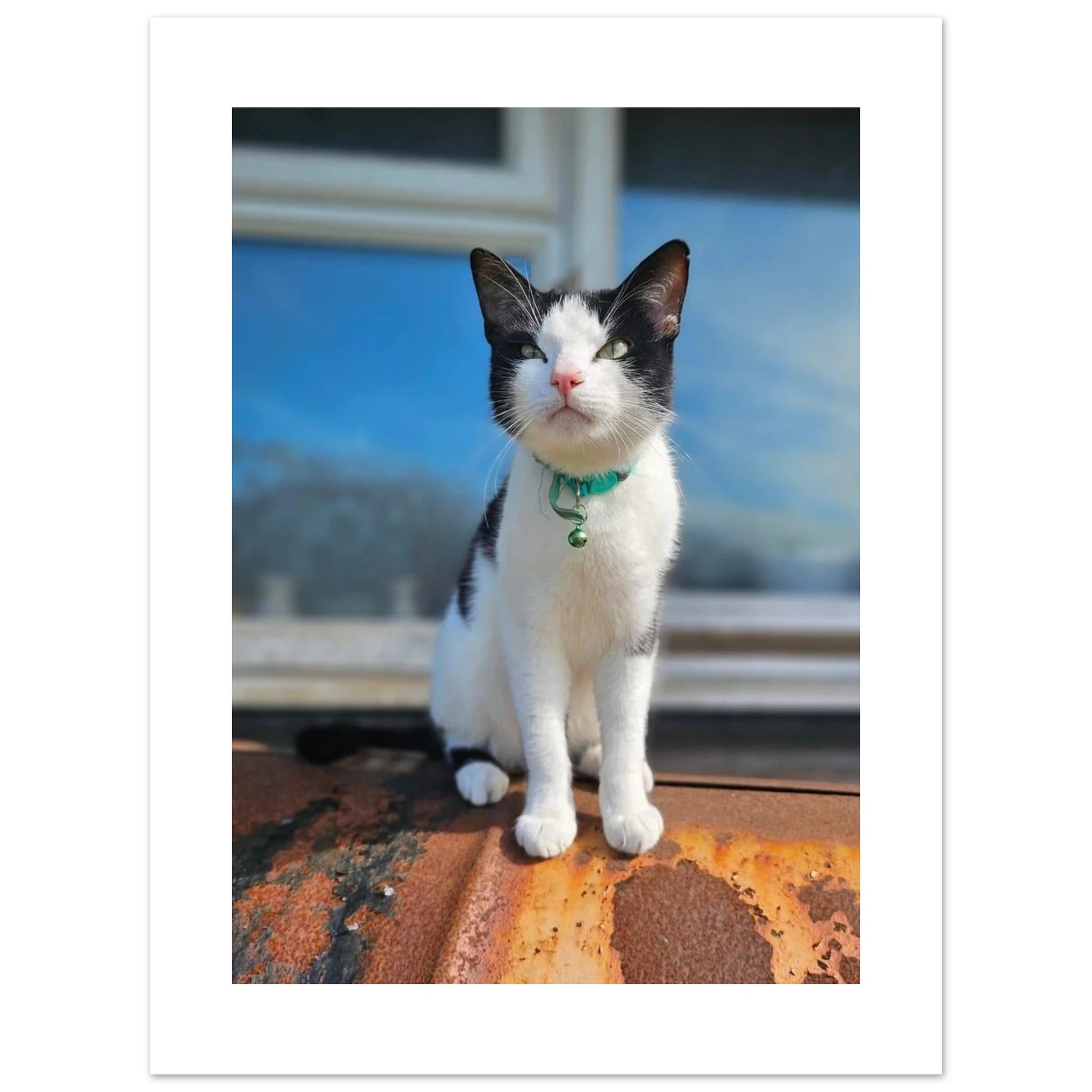 9591d820-df74-4c6e-839c-58aa1e41cd3c