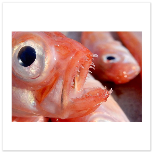 97bcd642-40f6-4d58-96e8-284bd1fe7156