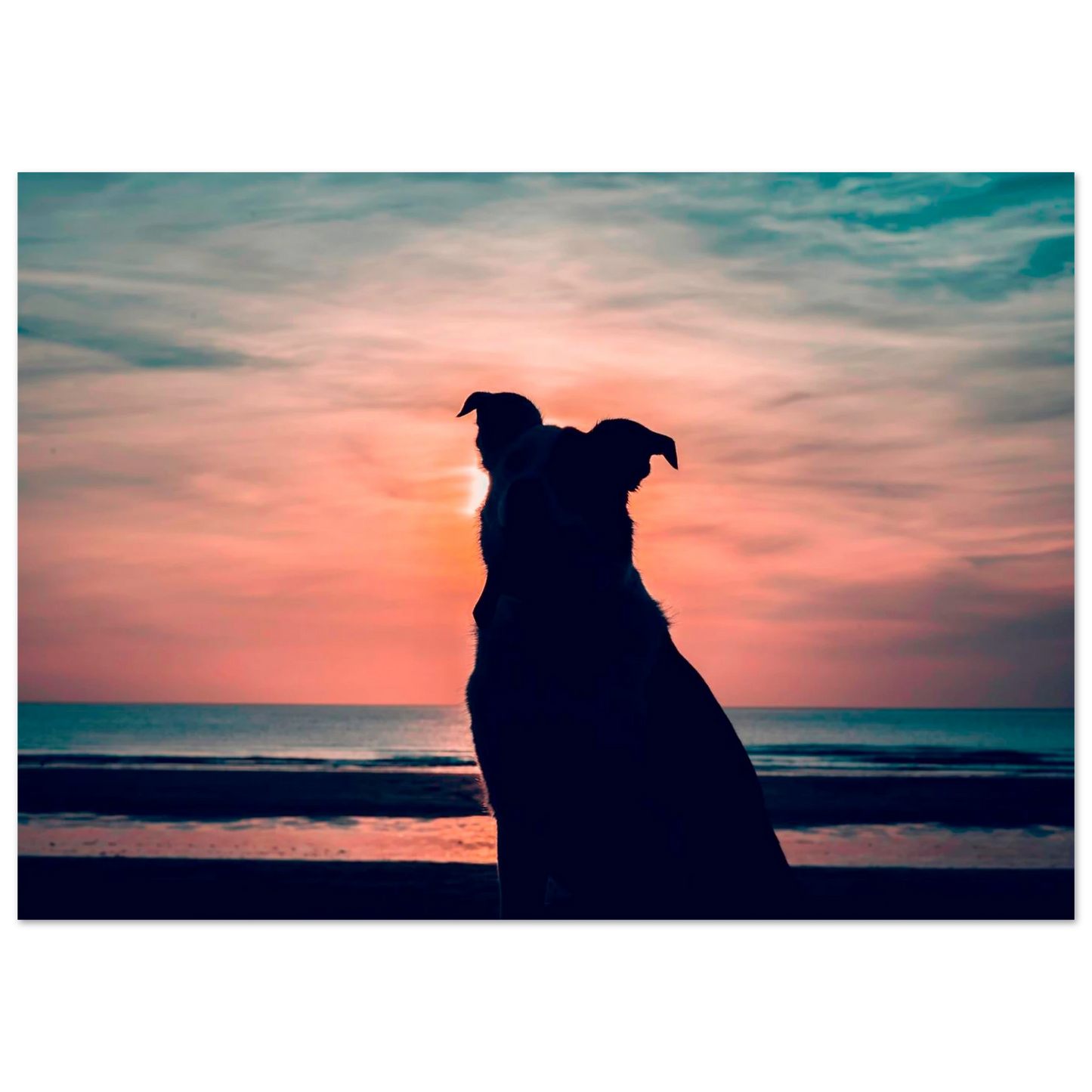 9a7884b3-84b8-404a-919b-b0d16d388771