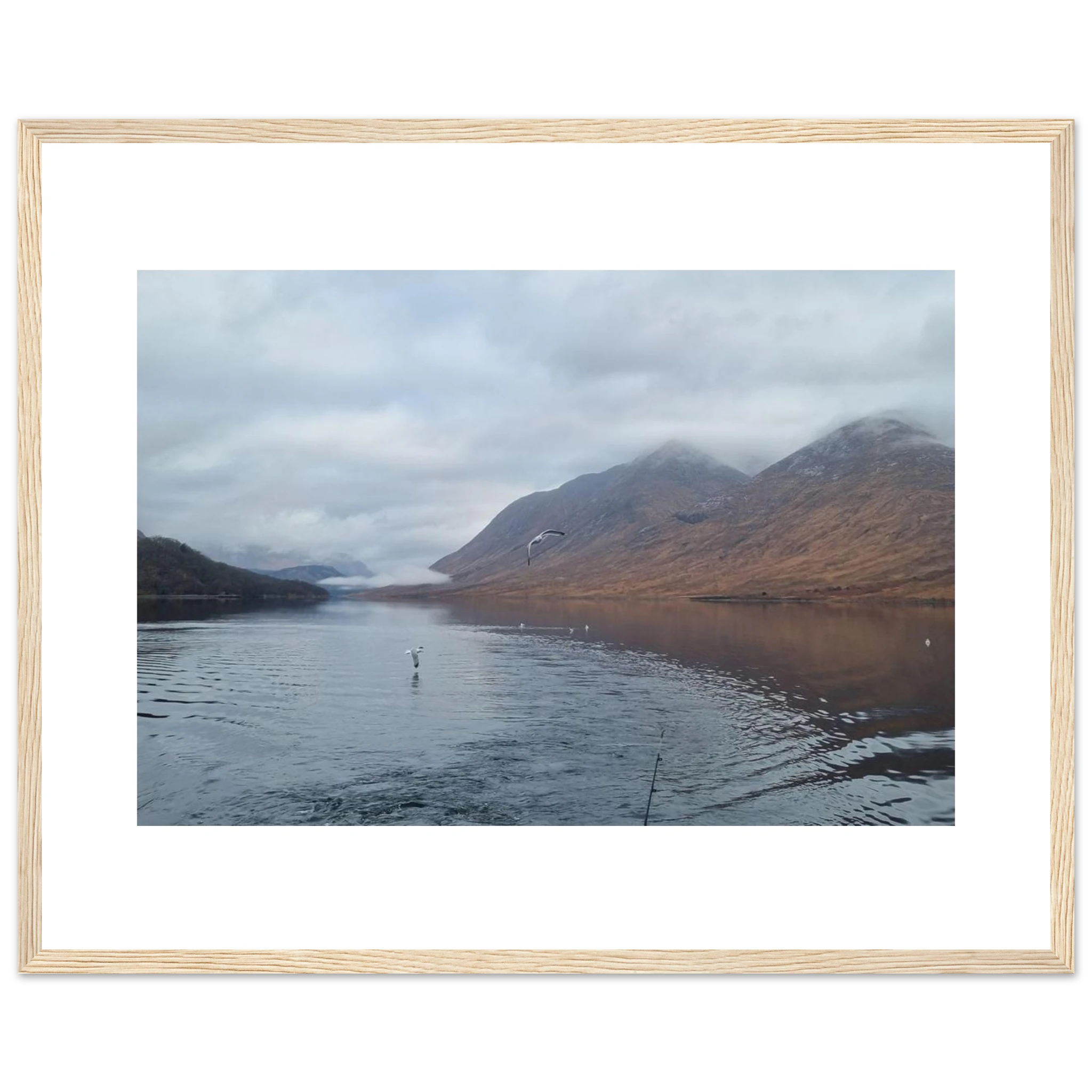 9babd896-729e-466d-a06f-84456795e175