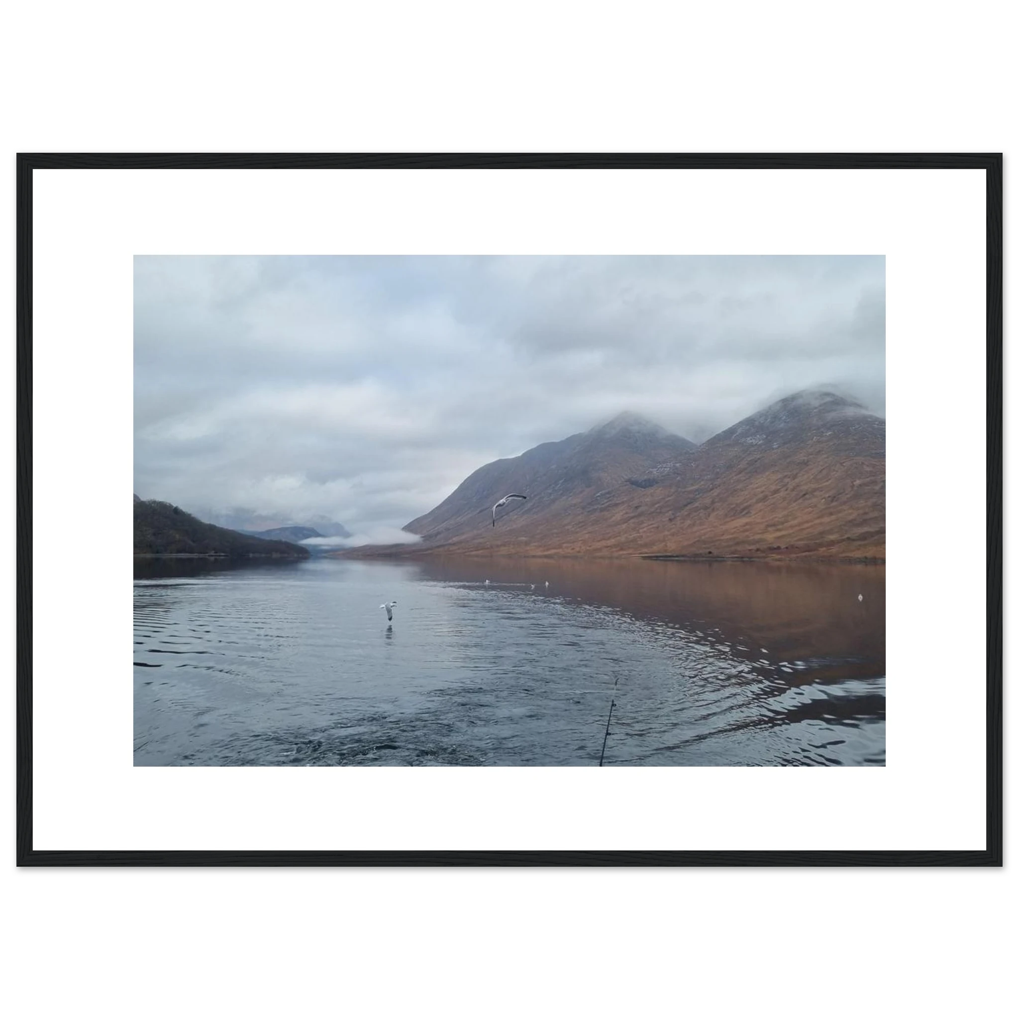 9cbae6c4-1080-4499-a5cf-a2aa60429e08