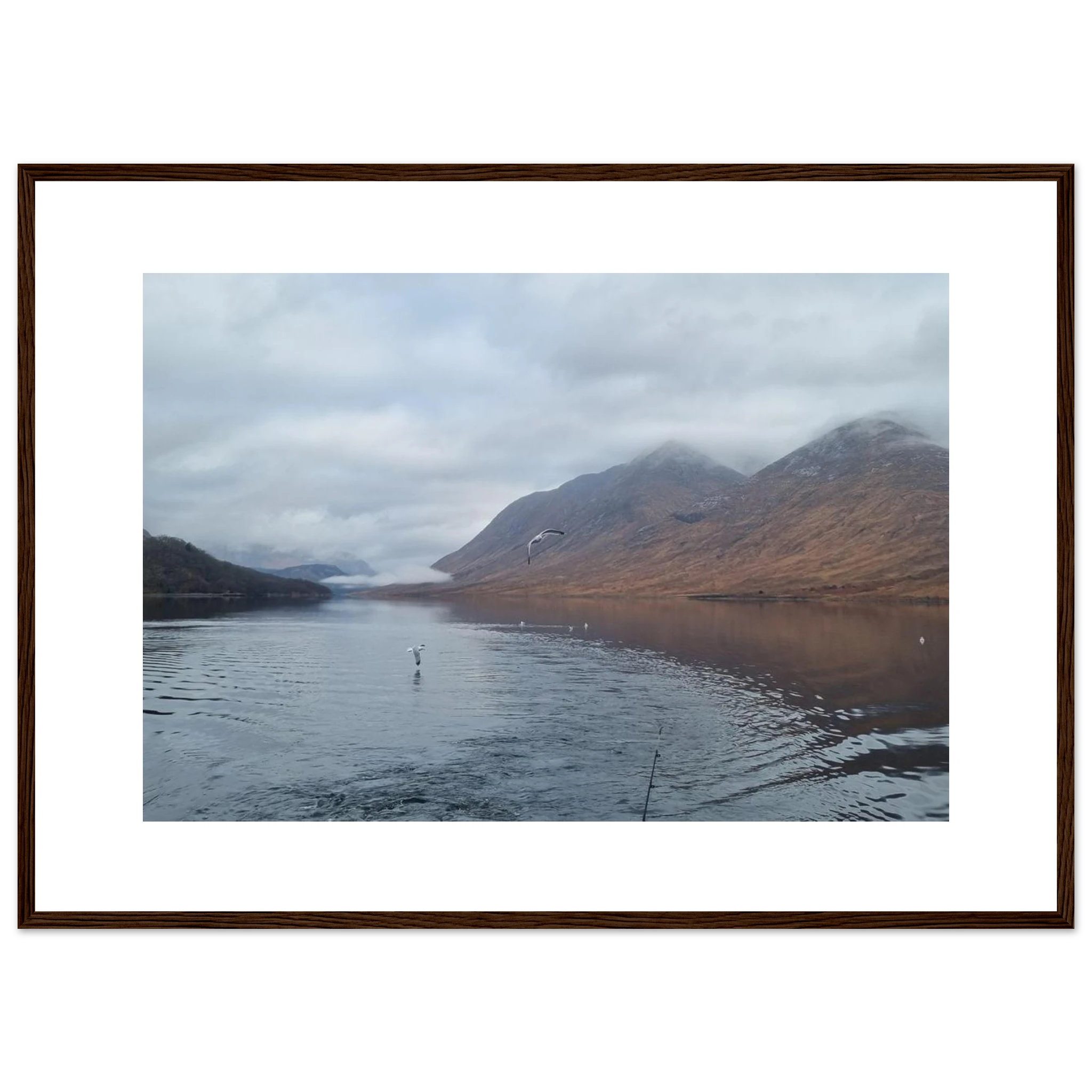 a6194040-49d6-455c-8c35-f5aa8da87027