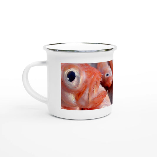 a8112849-e14e-43d9-86b4-2a9ab406bbbb