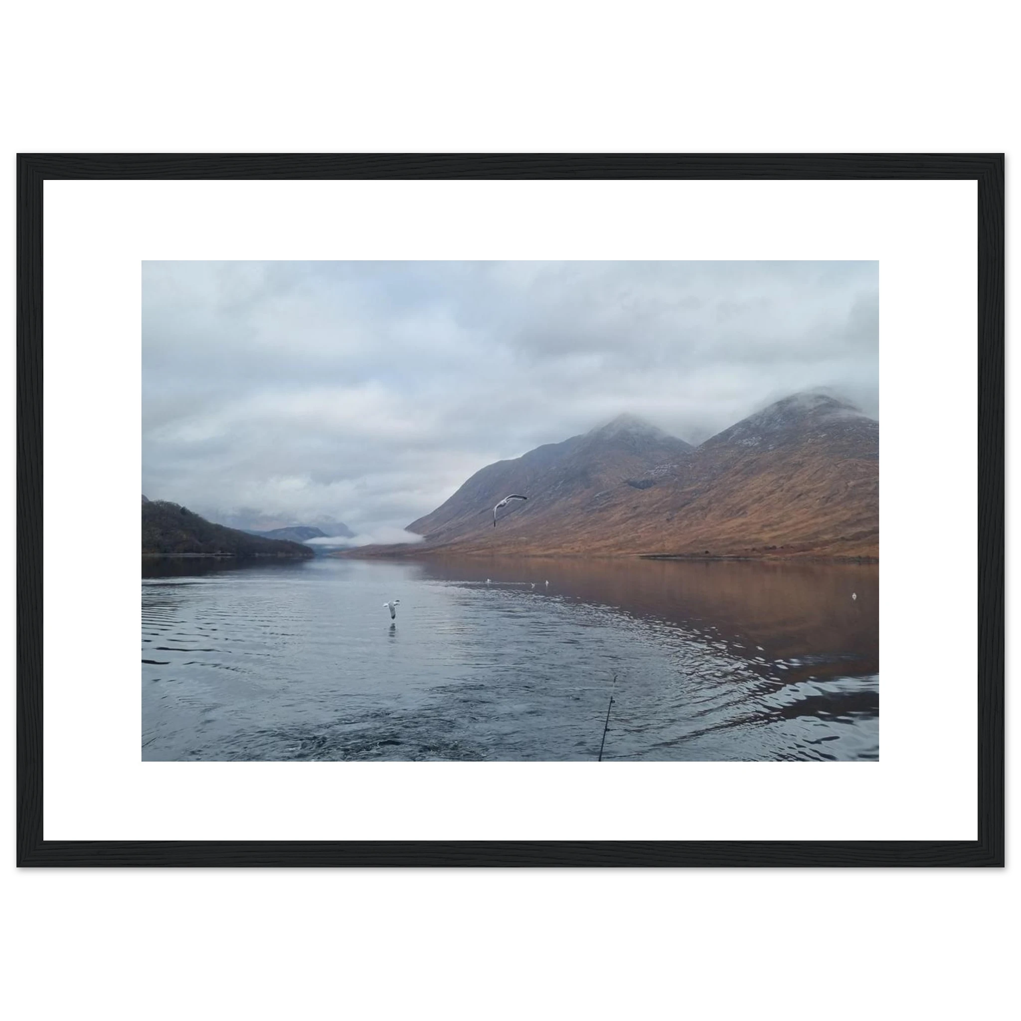 af32ad84-2201-4850-b2ce-7b93dcab9dc0