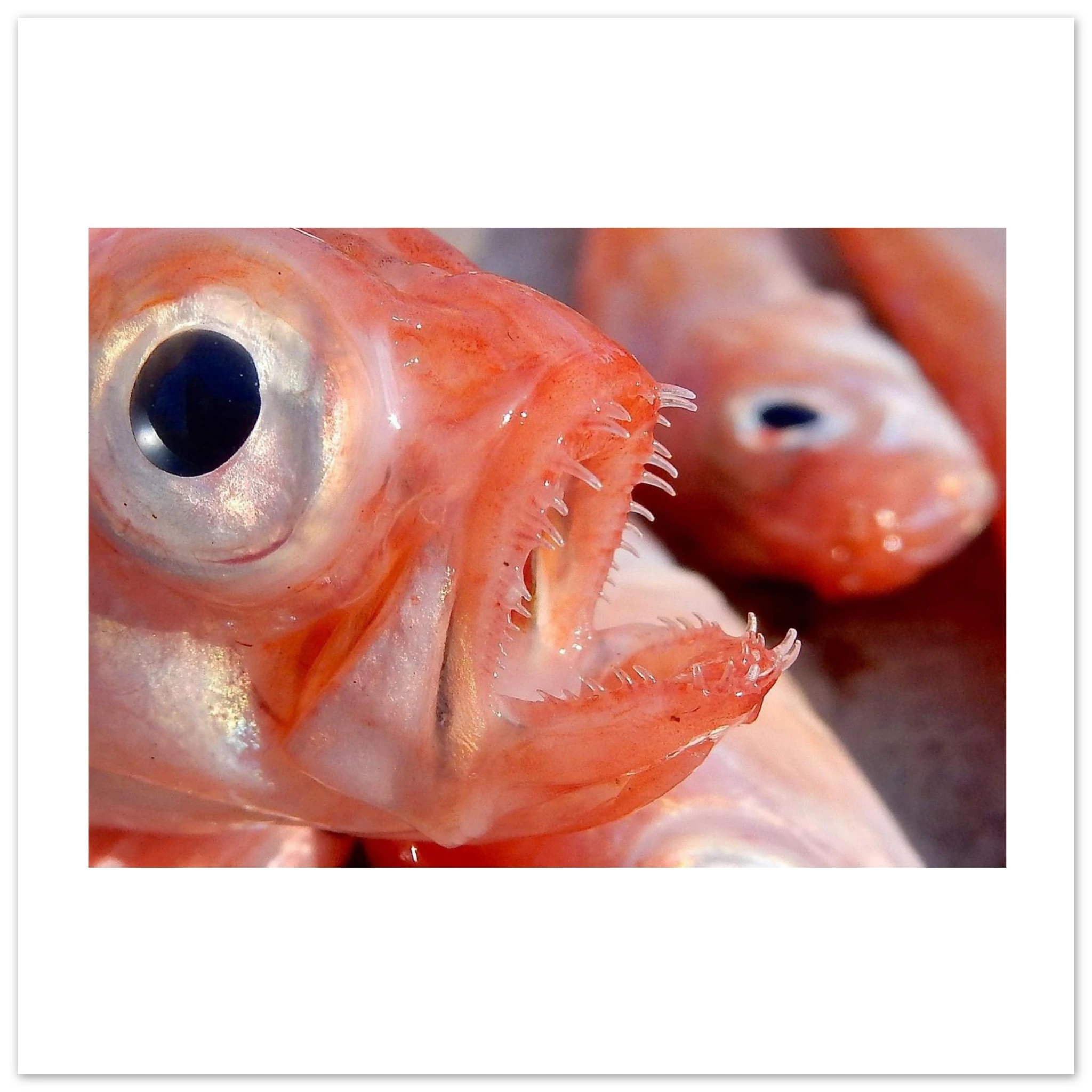 b5cad74f-0b01-4670-aa5d-40f0cfb41c4a