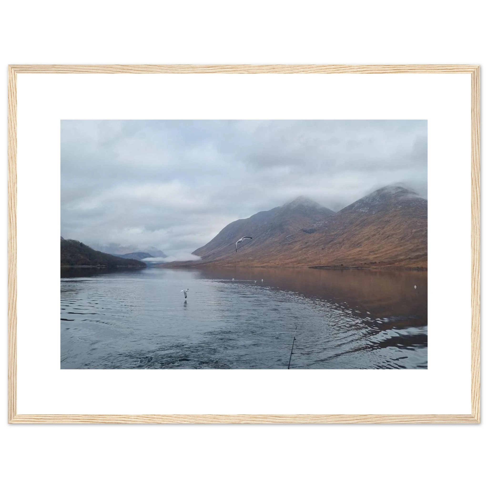 b5efa337-4308-4a2b-8492-087f09019c14