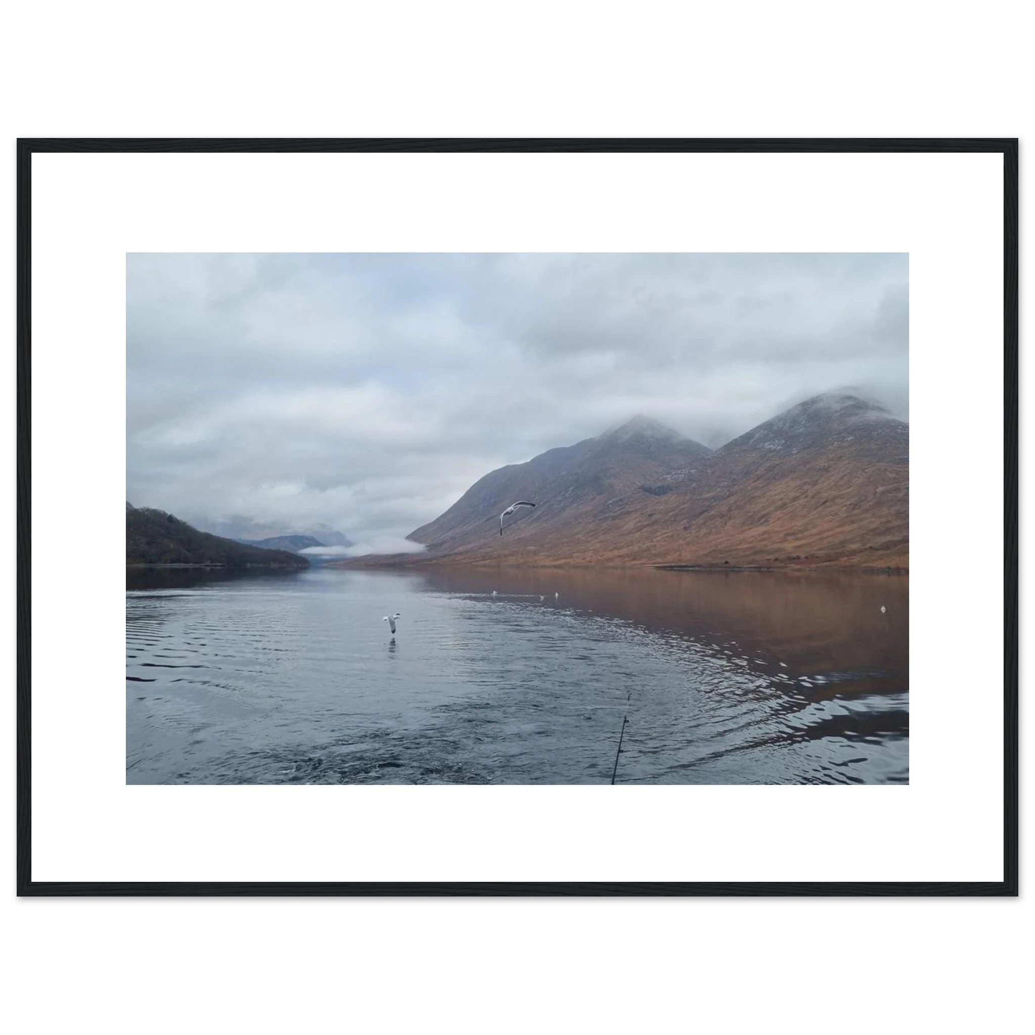 b6a49f45-2954-4e56-bcf1-42f5e4df7bb2