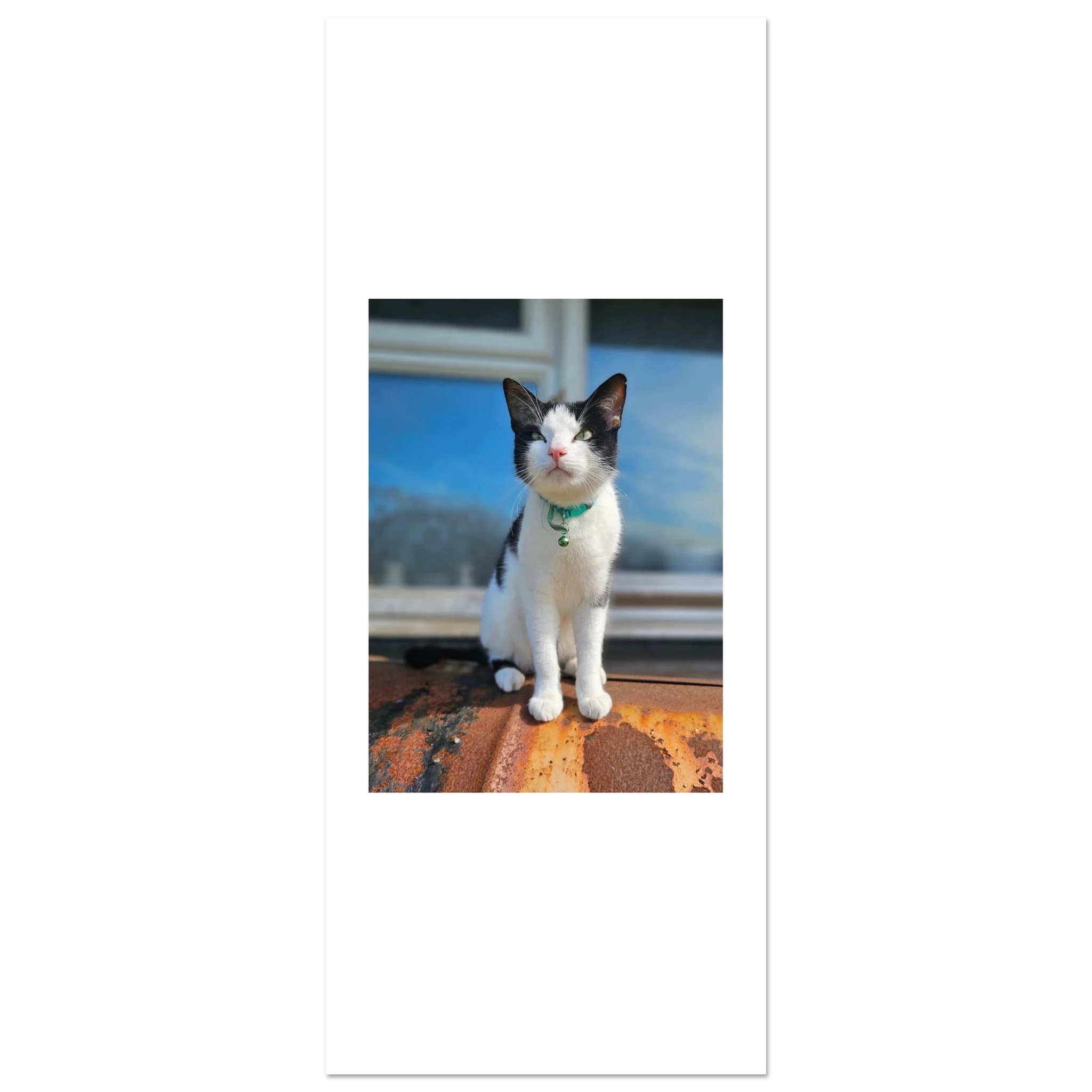 b7b02933-cd9a-4e10-93d2-3870eecfe595