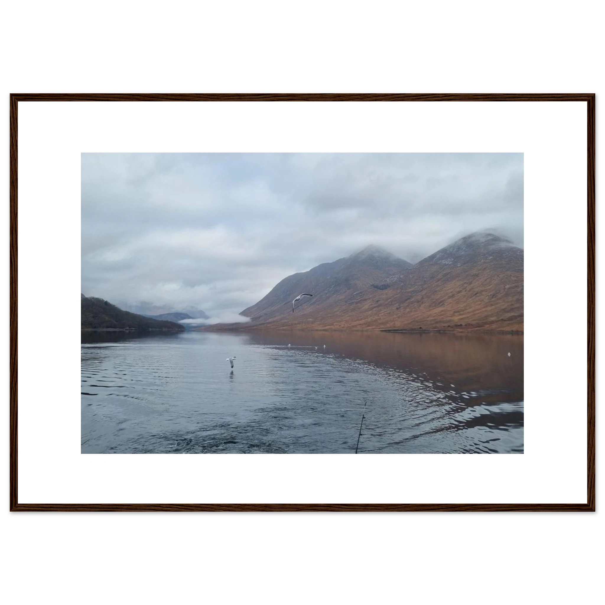 b835adfd-718b-4950-8f9e-3fff761b45c1