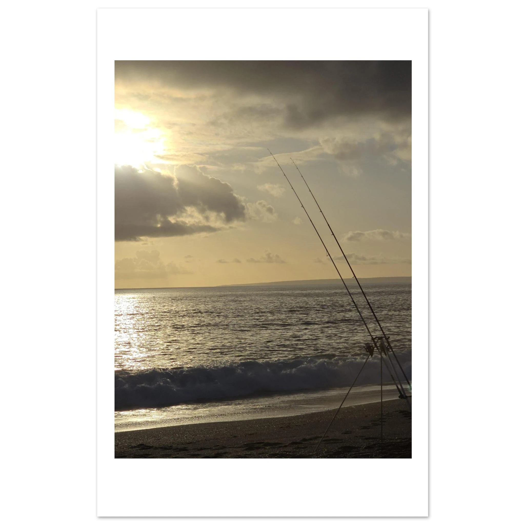 ba84b41f-259c-4719-a61f-b80d494ba281