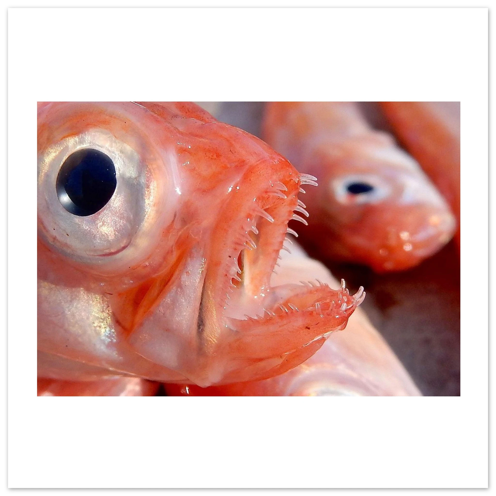 bc4ae005-0fe8-4cc2-ba87-9cb4c6e85dd3