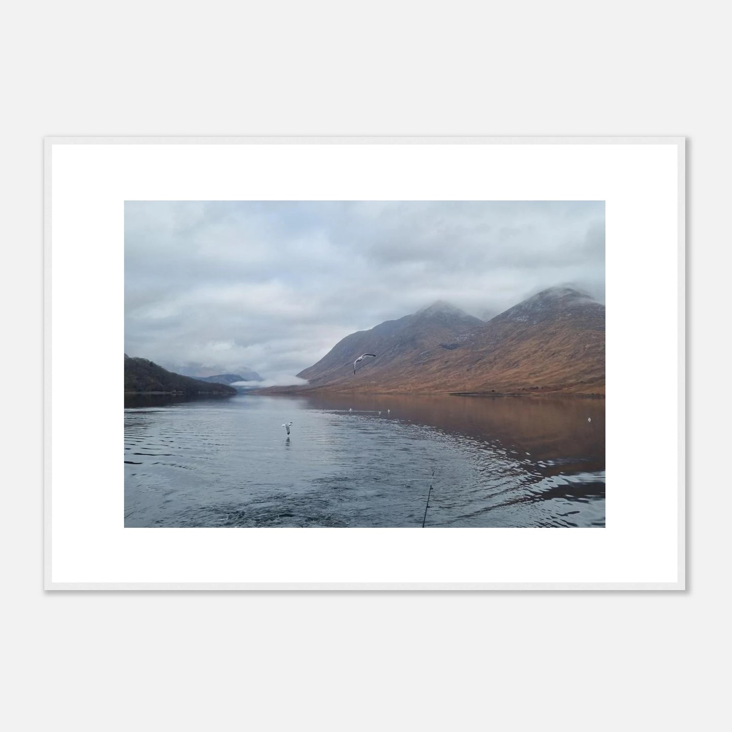 bff9b899-5e86-4b41-8713-470f395a615c