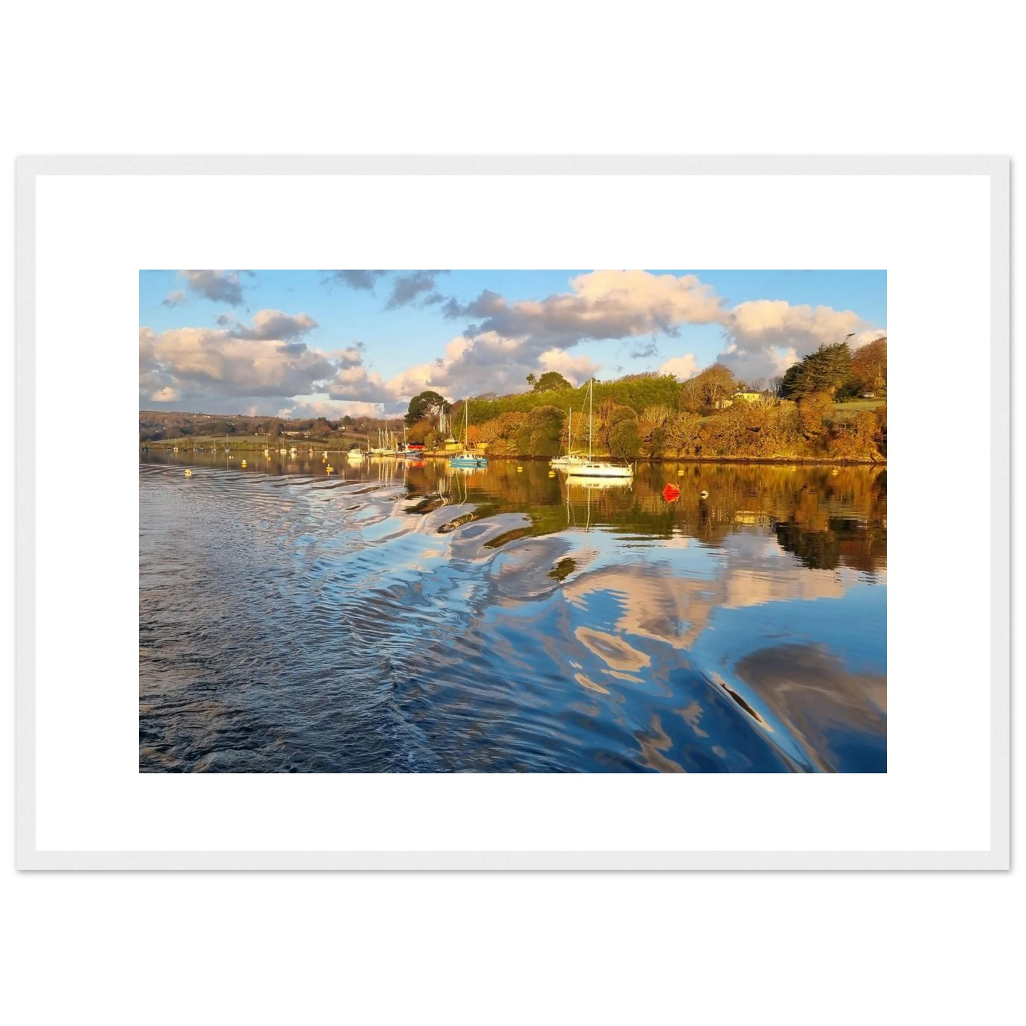 c02e5ed0-8c90-419b-ae65-c293229465b5