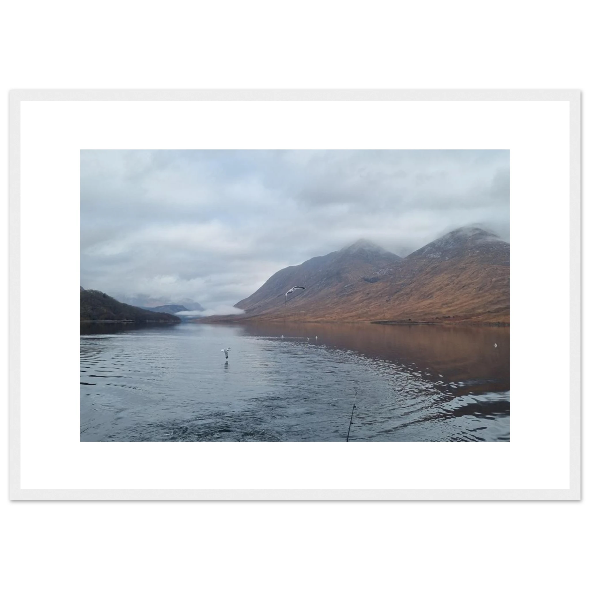 c47d8343-8f97-4af6-a0e3-599ca3c05c73