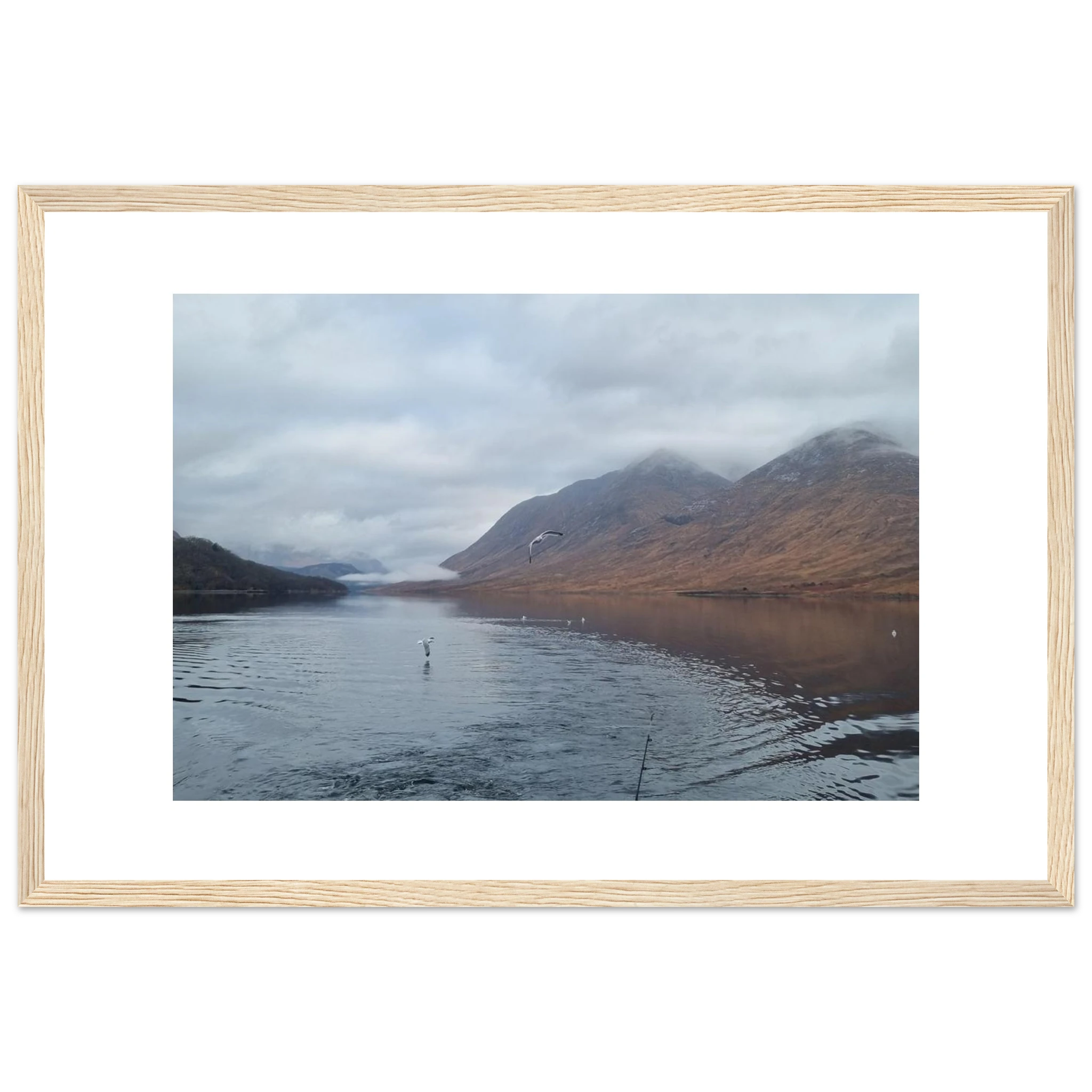 ca51c0b0-f6d3-4336-883d-5b7f253f603e