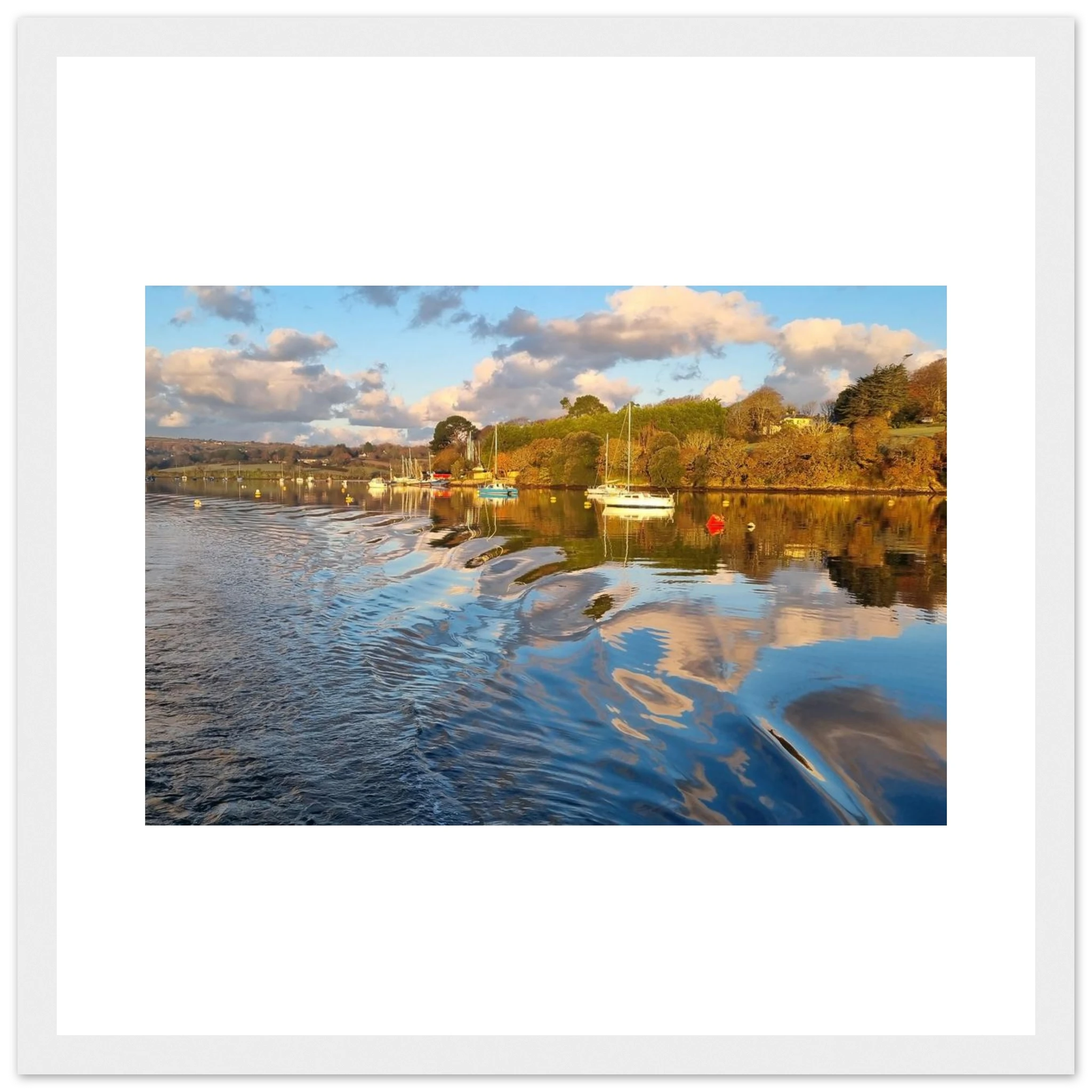 ca5bd634-6a27-4fca-bae4-66ddf14b70ed