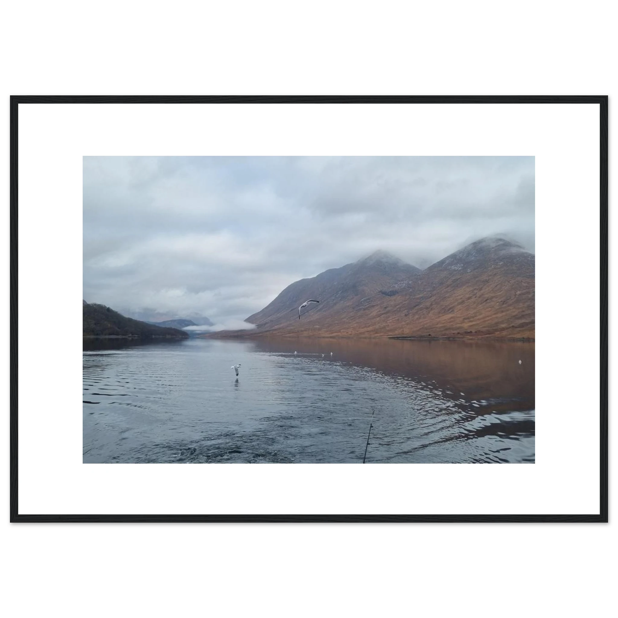 cb79eca3-9249-4e8c-ab6e-5f0f5ae735d4