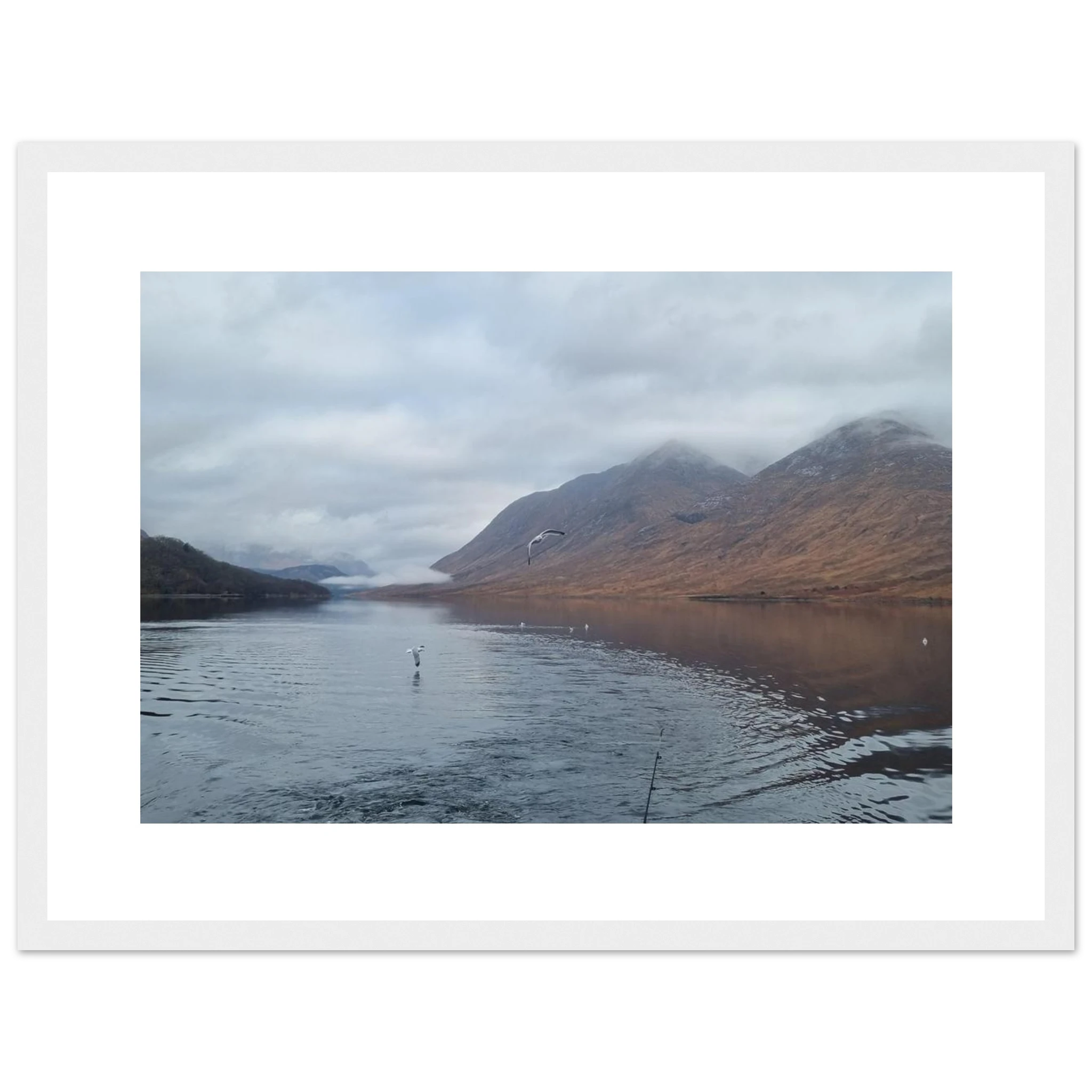 ccacf349-d431-4992-be53-b4594ea39baa