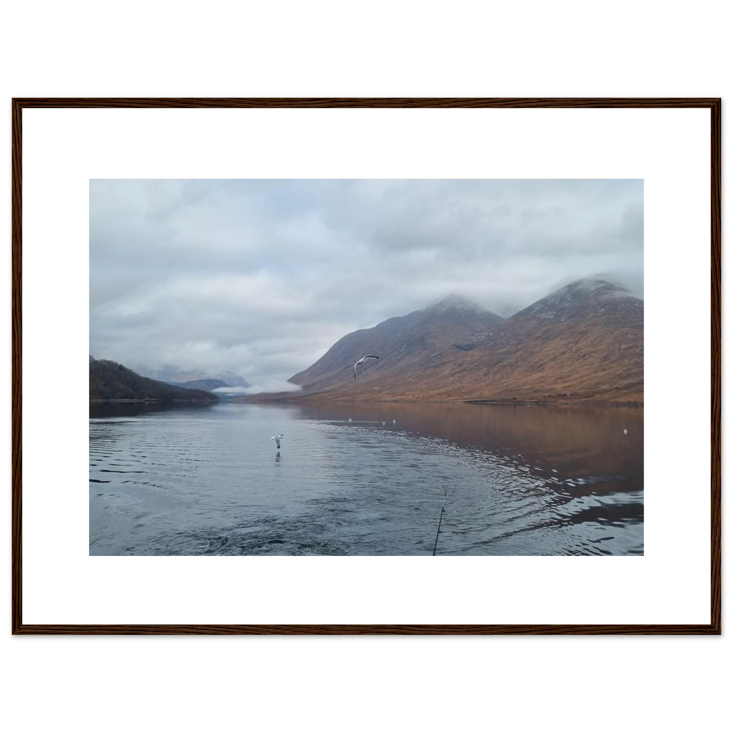 d054a6d9-5ecc-4980-99f6-8644b1031f4c