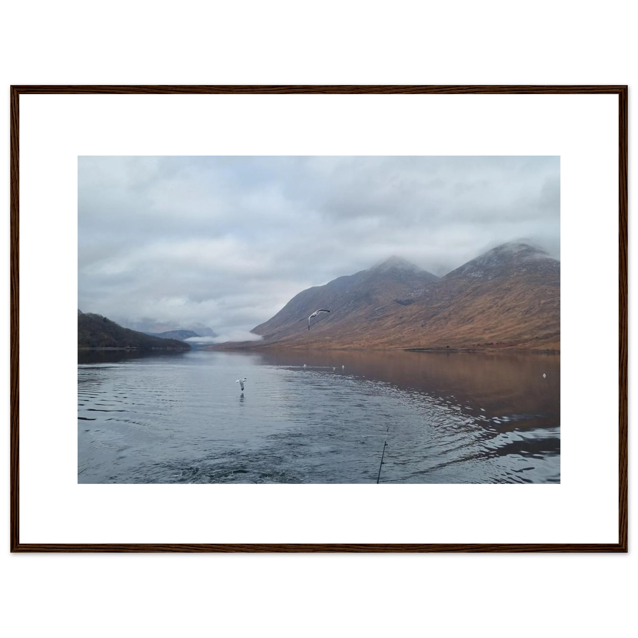 d054a6d9-5ecc-4980-99f6-8644b1031f4c