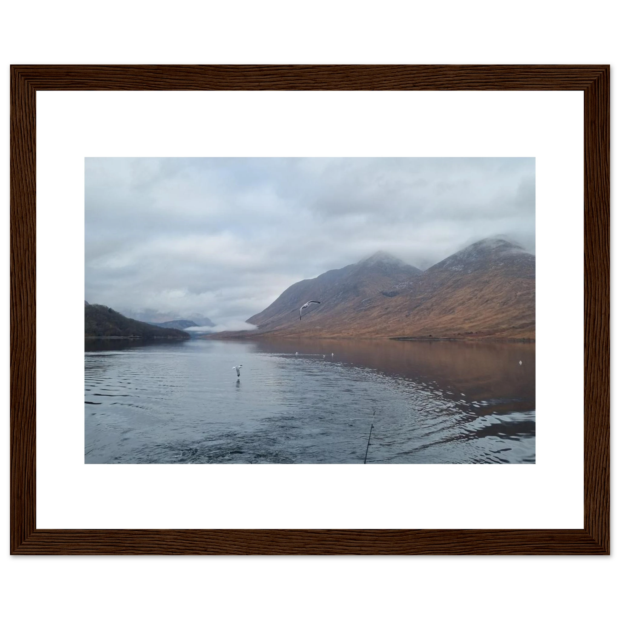 d1a32b4d-a320-46cb-be9c-c4b815510b10