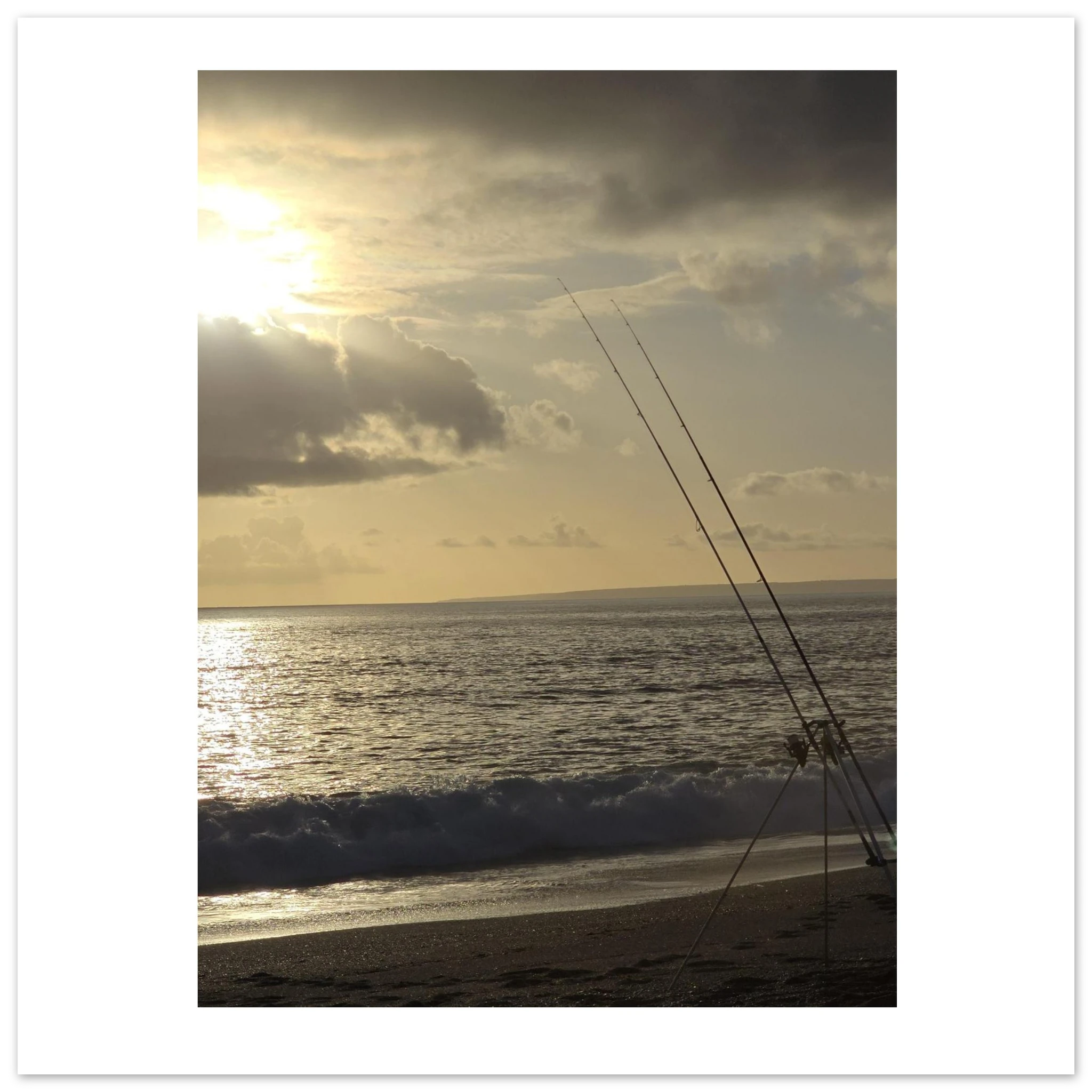 d3bb9fd6-c61b-4893-a507-2f36ef5540b5