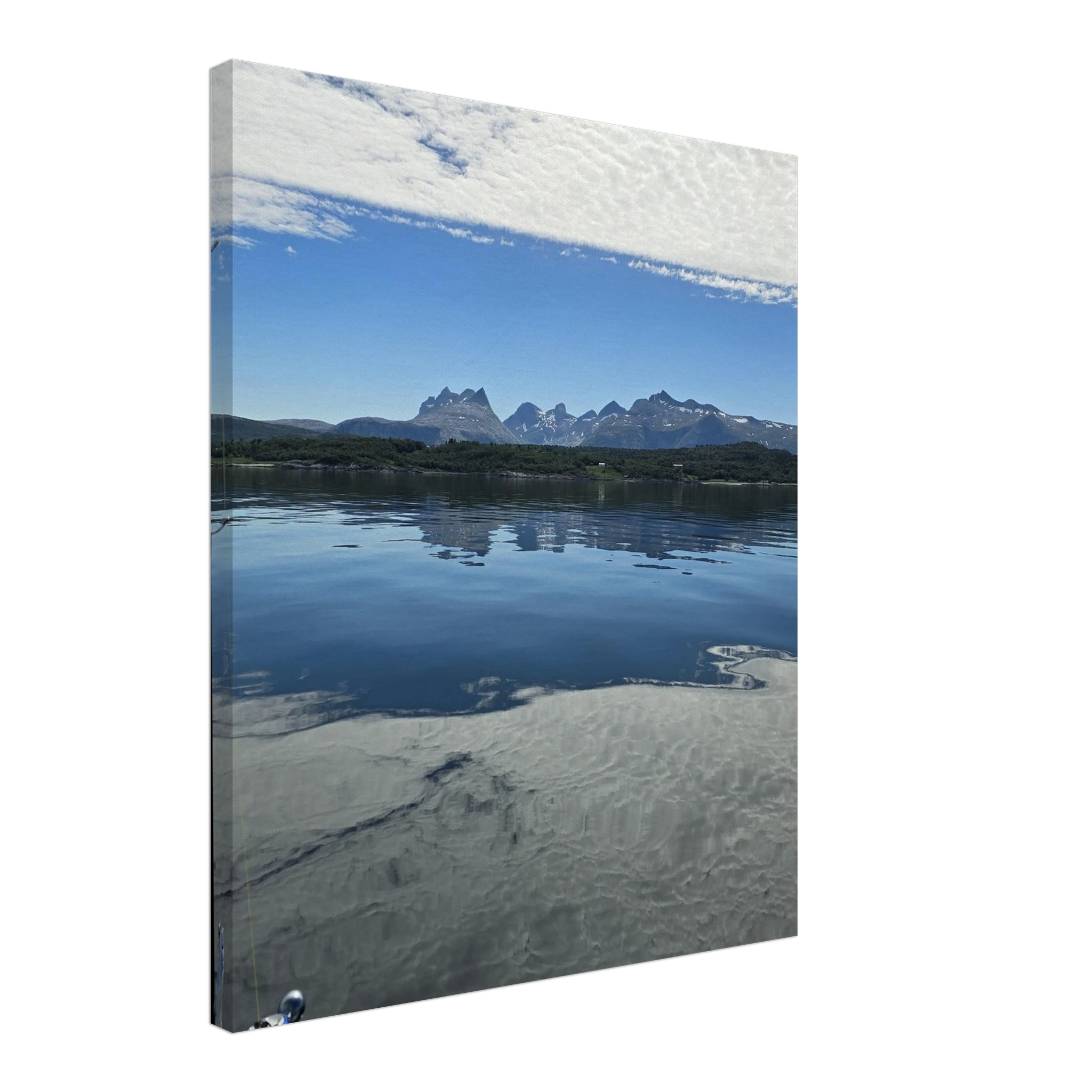 d687a669-7ff3-44d7-92d6-feb9ab313534