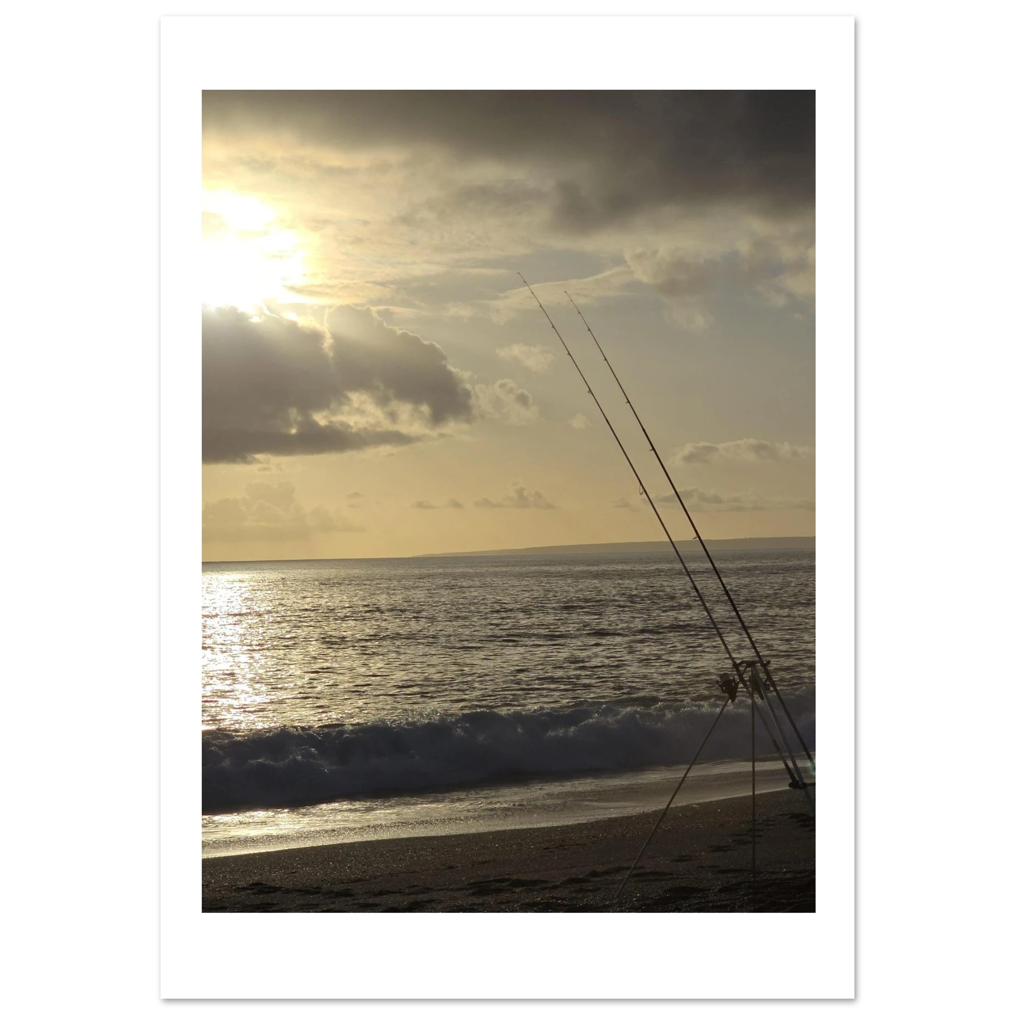 d86e85d4-6ec6-444b-9452-b8a329219b0a