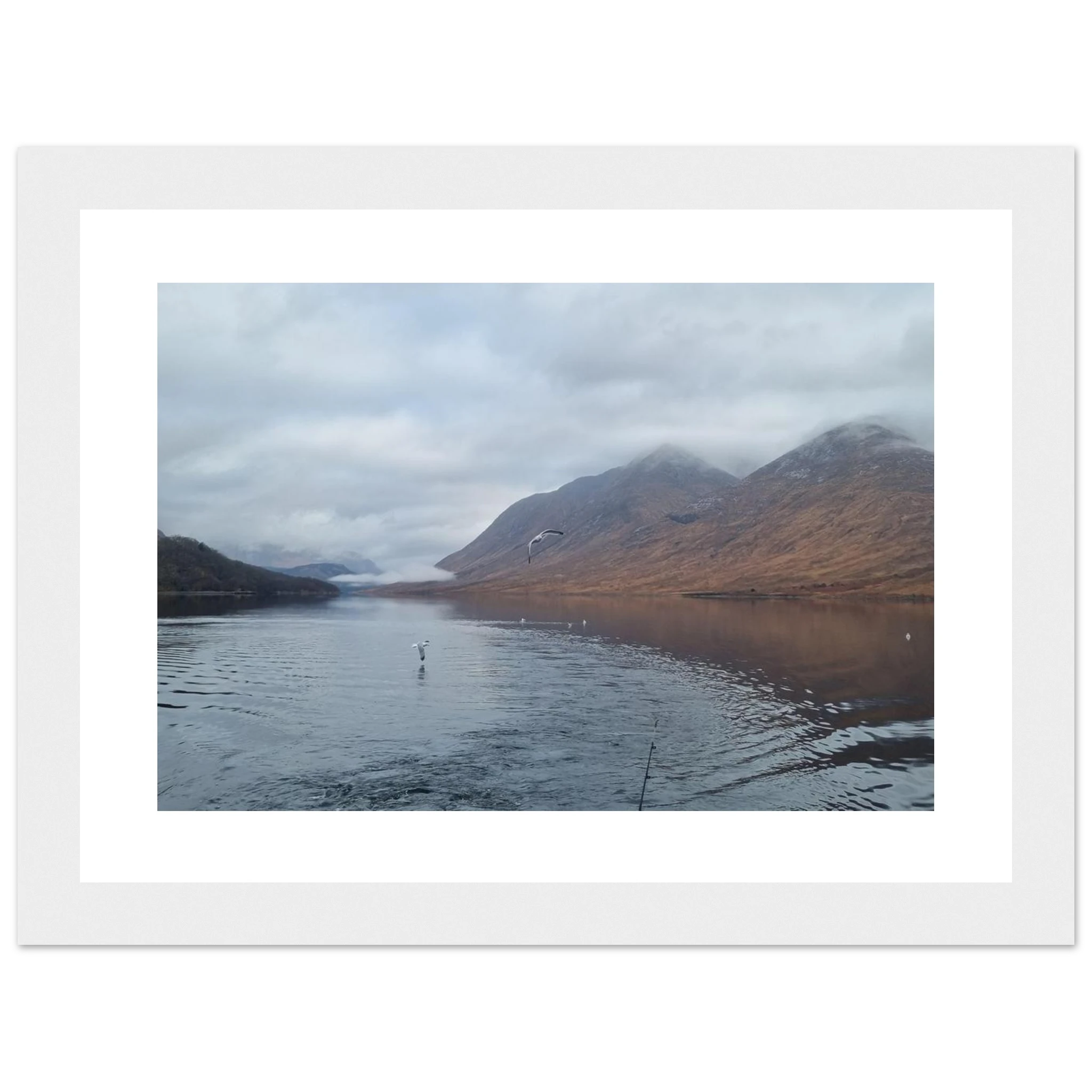 d912ed4c-7f48-4d20-80c6-db7046207fe3