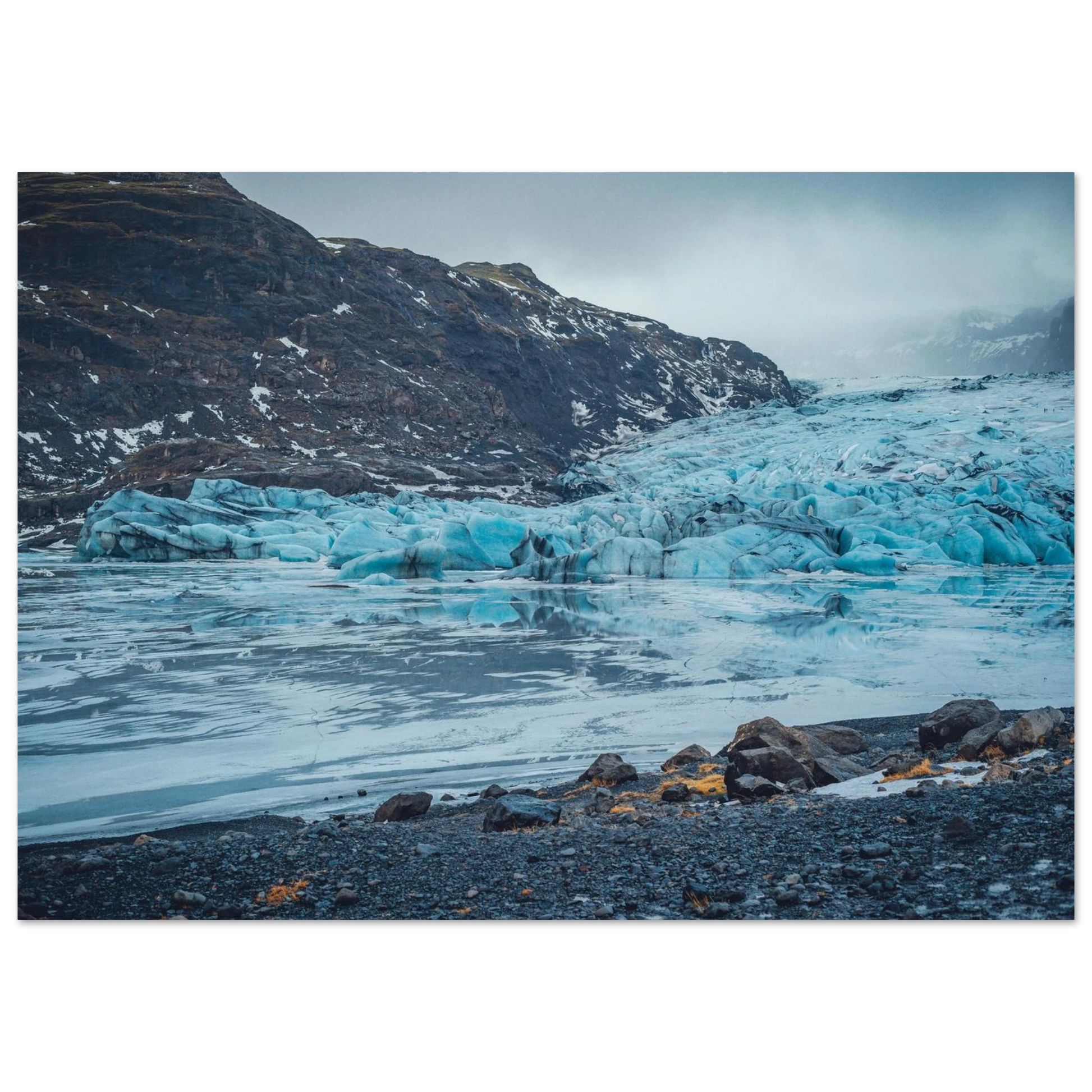 d9c9006c-4dd5-4a90-bccc-434583a26e90