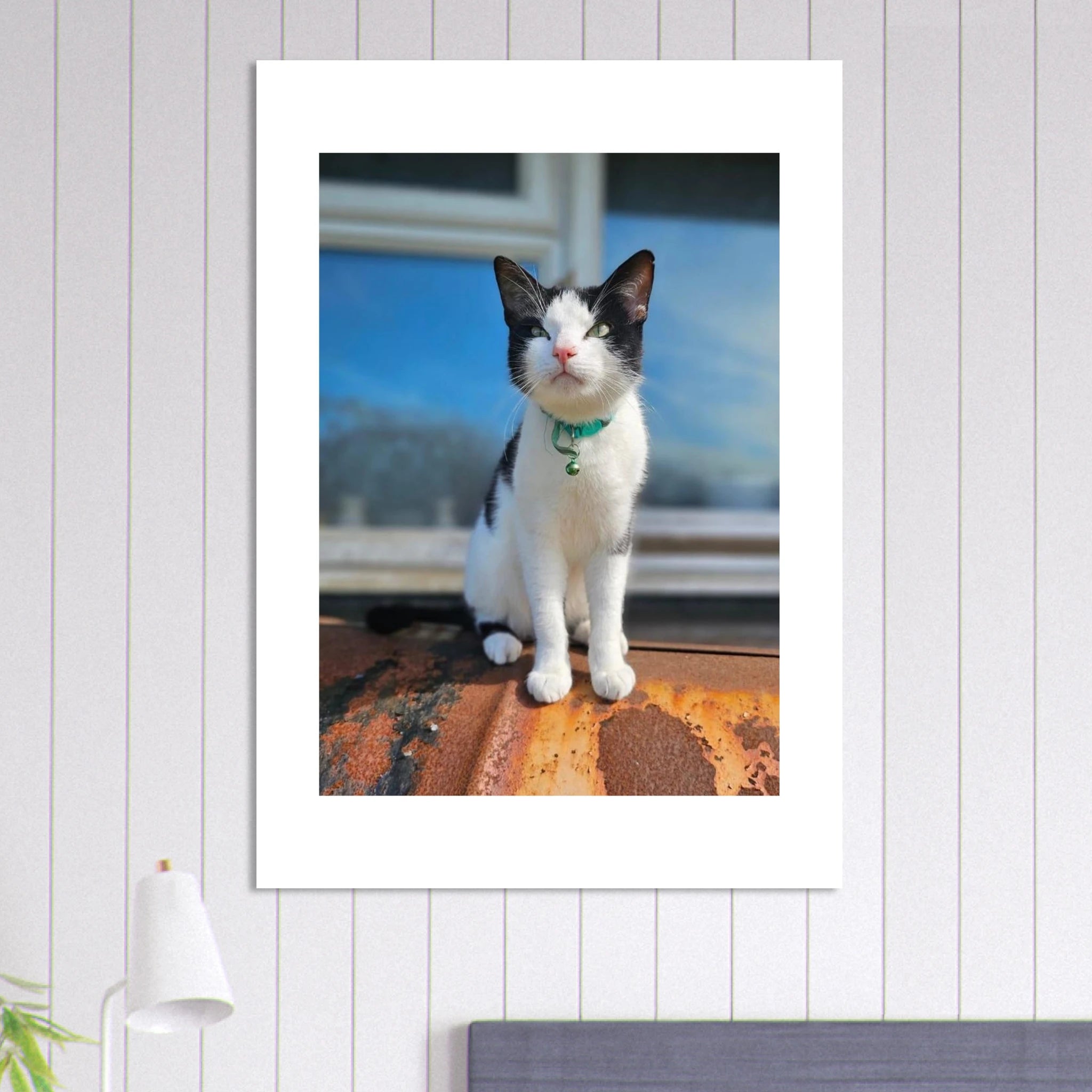 da29c411-3b1b-404c-a445-6c6be0760065