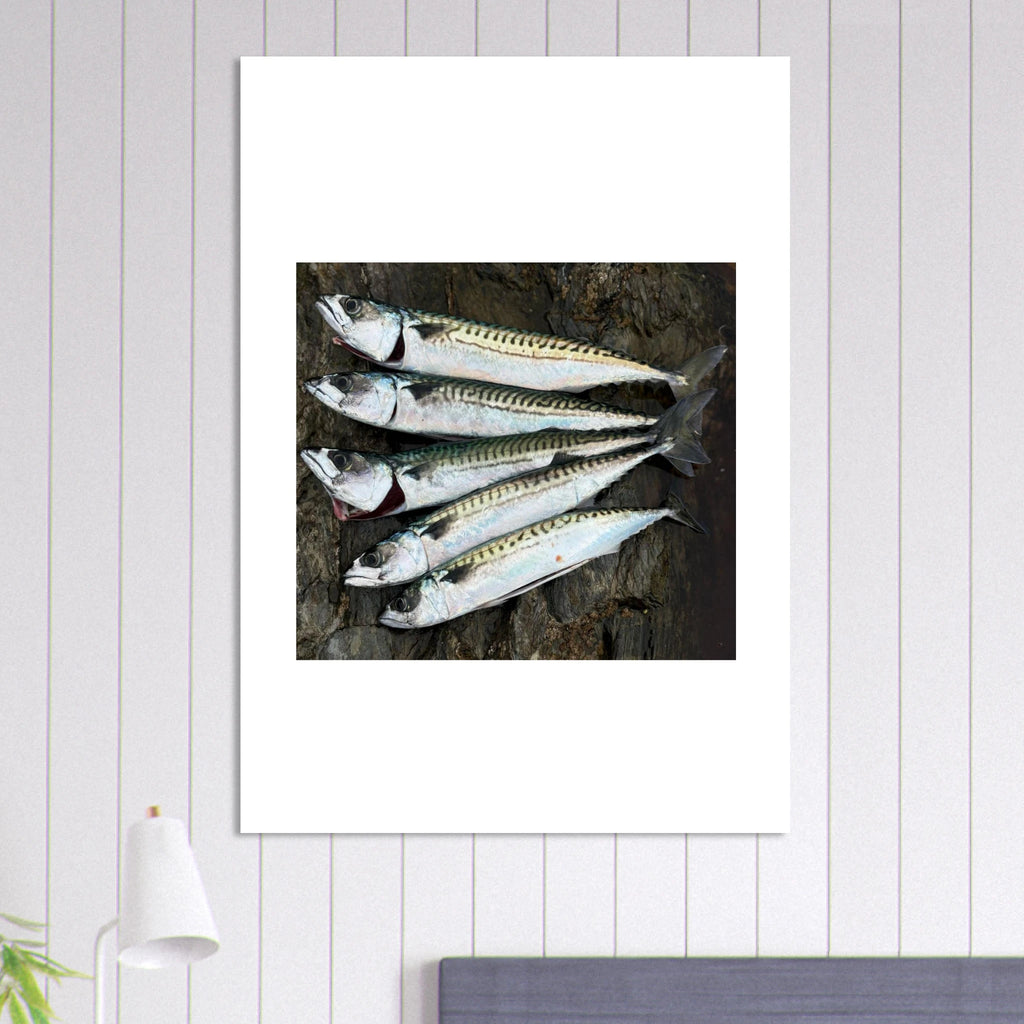 dea78a19-5259-4497-847d-e339b6b9164b