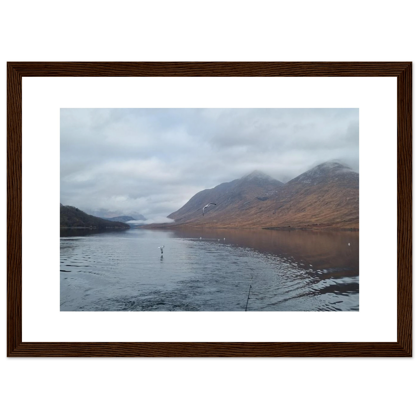 e04baa9b-8f3d-493b-80b9-ed575446b877