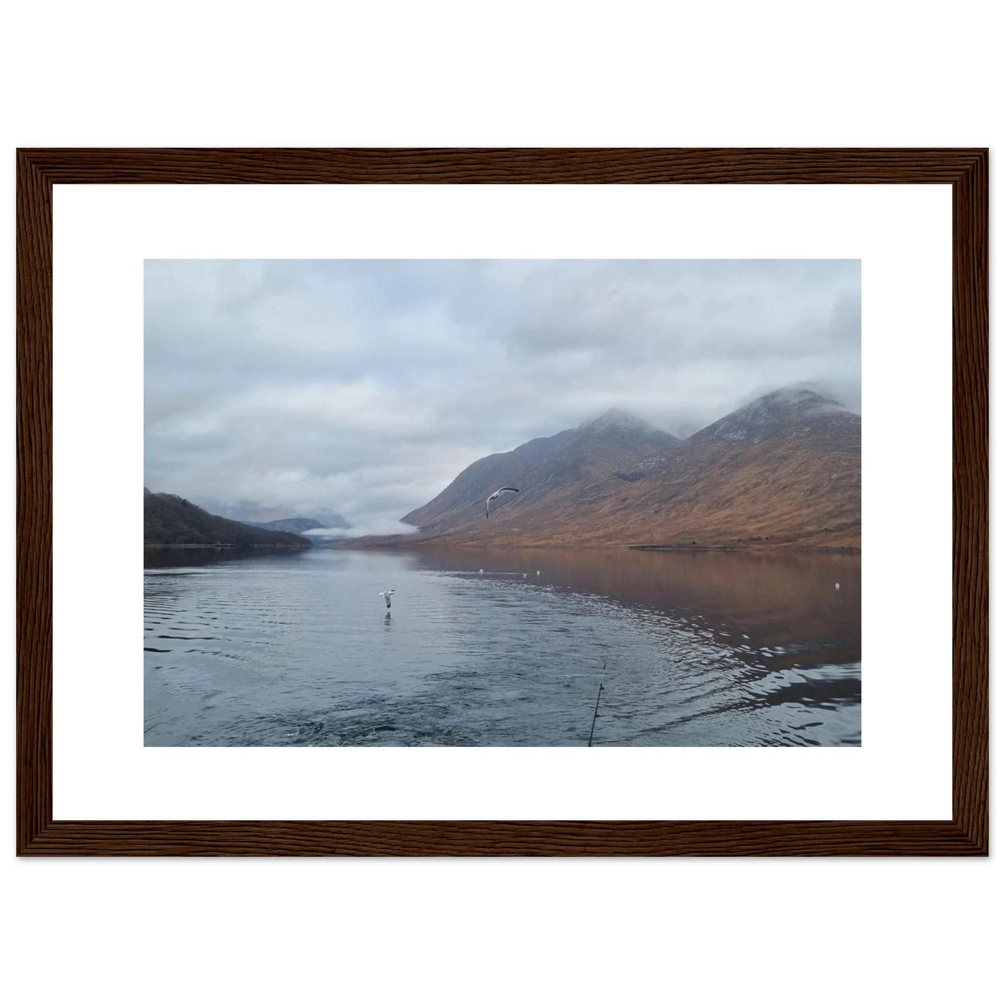 e04baa9b-8f3d-493b-80b9-ed575446b877