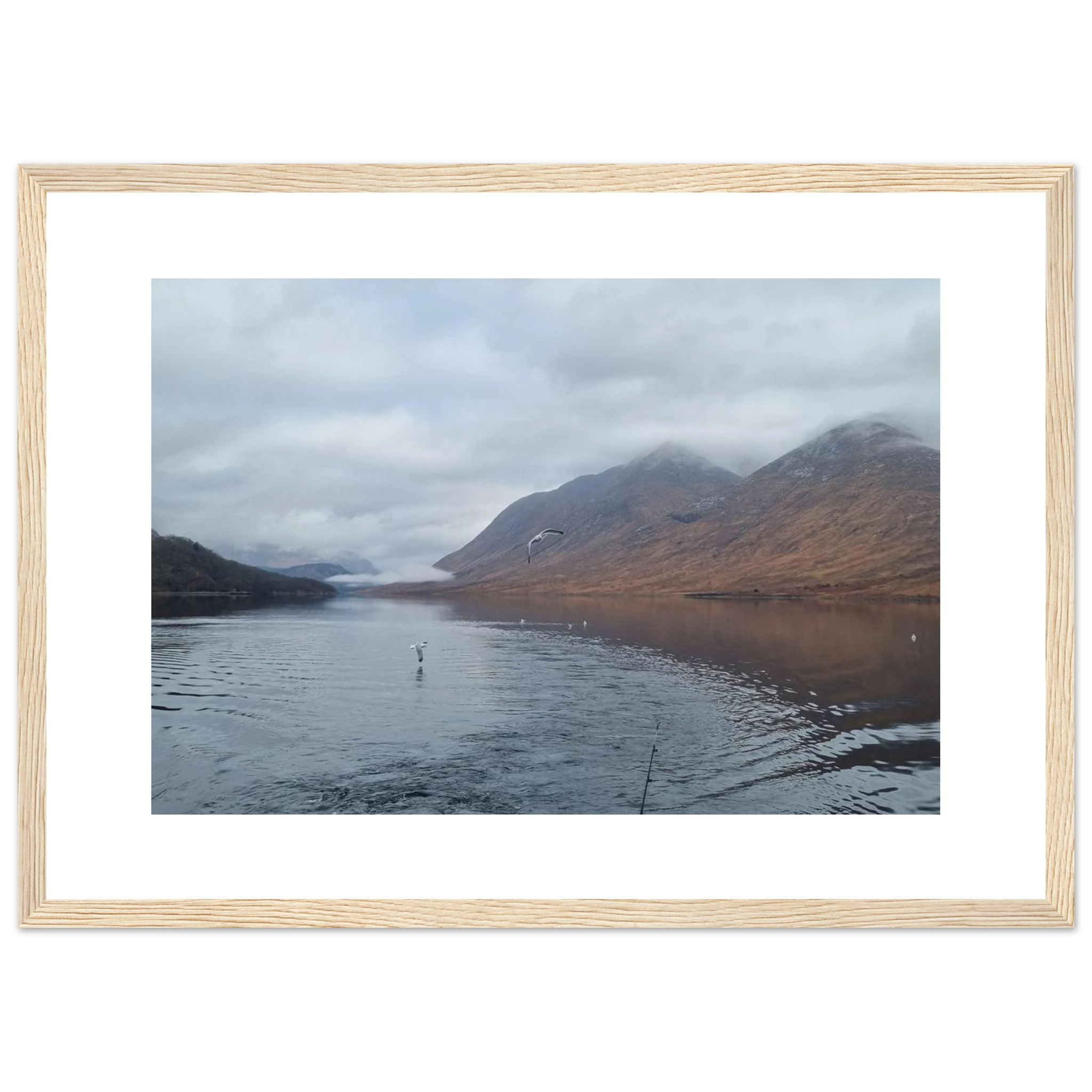 e2959442-7d53-45dc-8479-b94dba72c47c