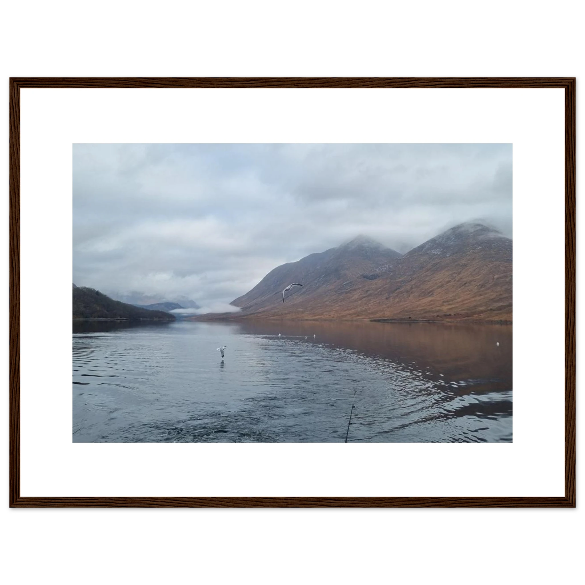 e38061bb-a95e-4251-9dc3-2abf9e0fea42