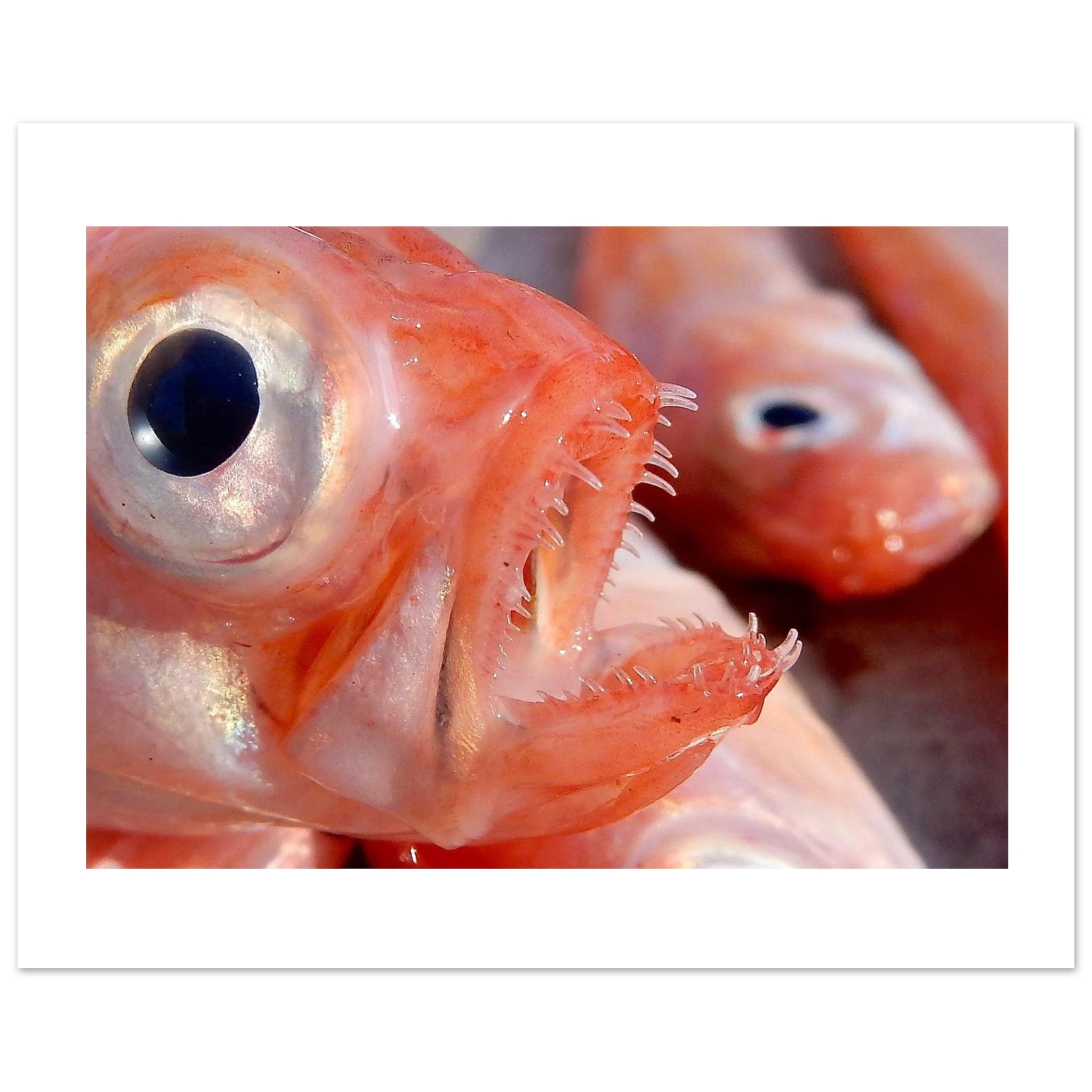 e3cbbc8a-be61-4981-824f-8a7d2ca15e83